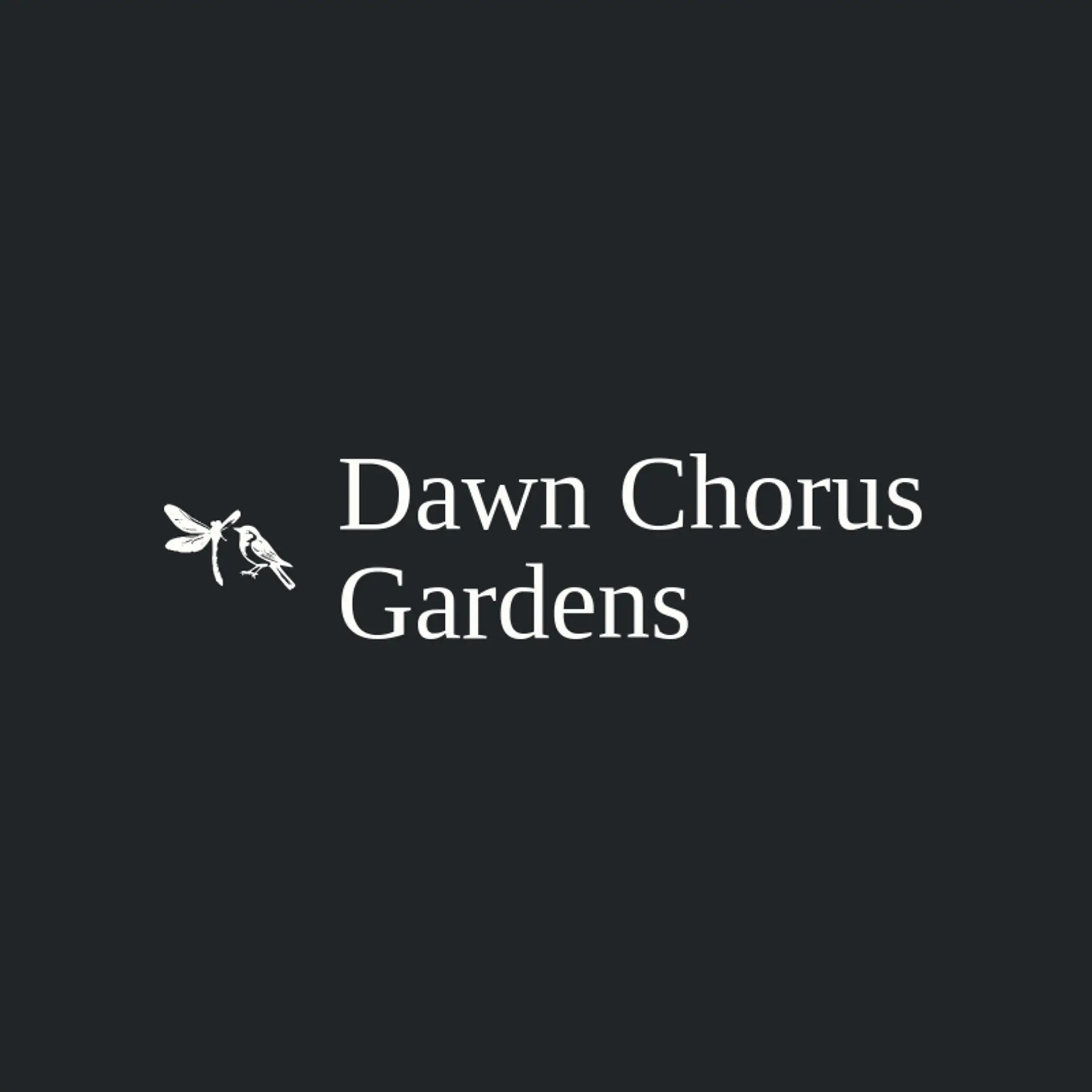 Dawn Chorus Gardens logo for dragonfly