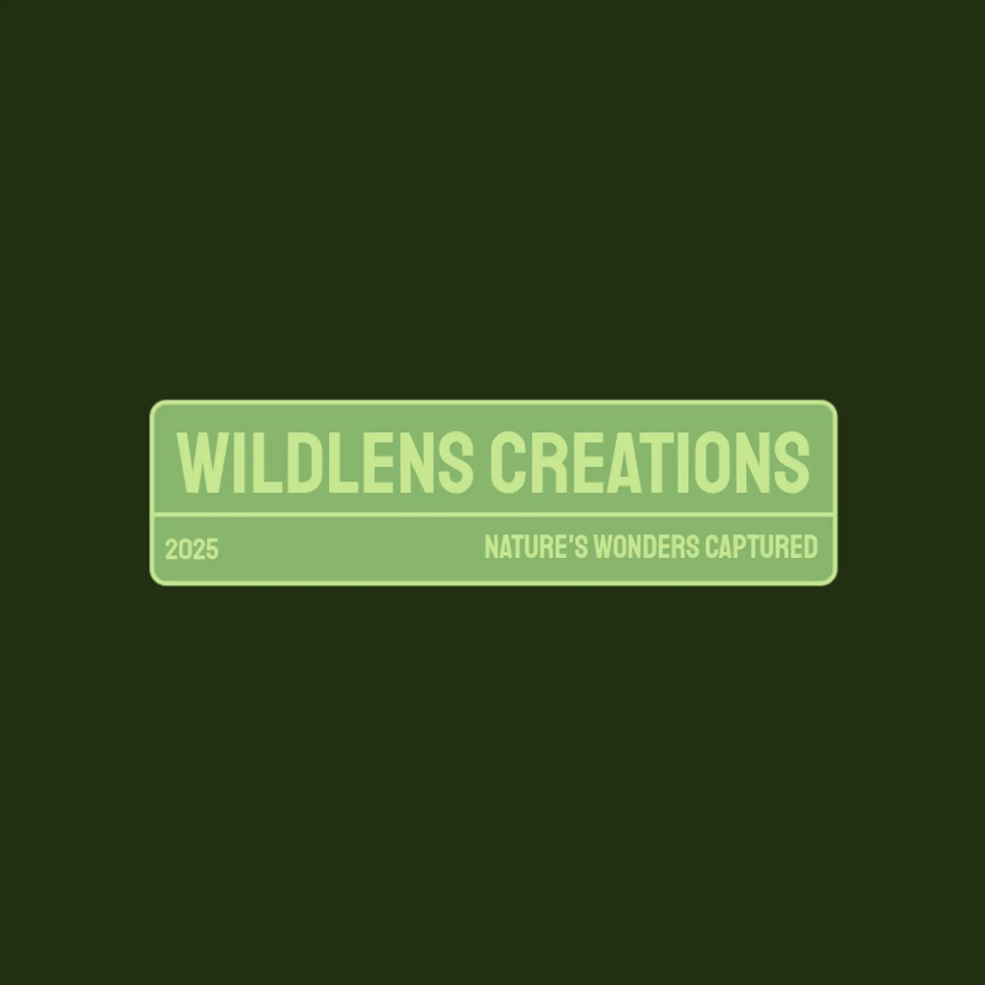 Lens of the Wild logo for wildlife photography