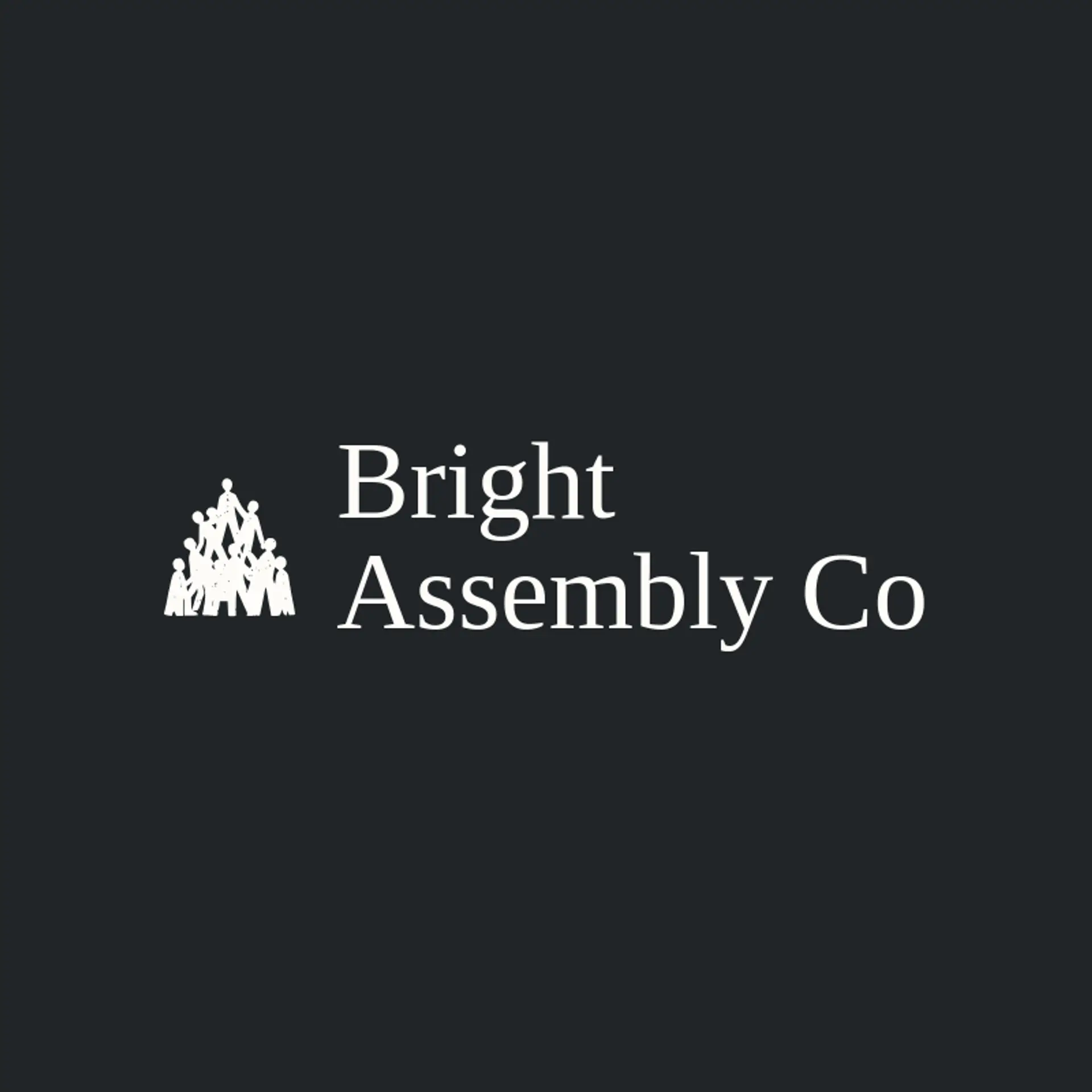 Bright Assembly Co logo for crowdsourcing