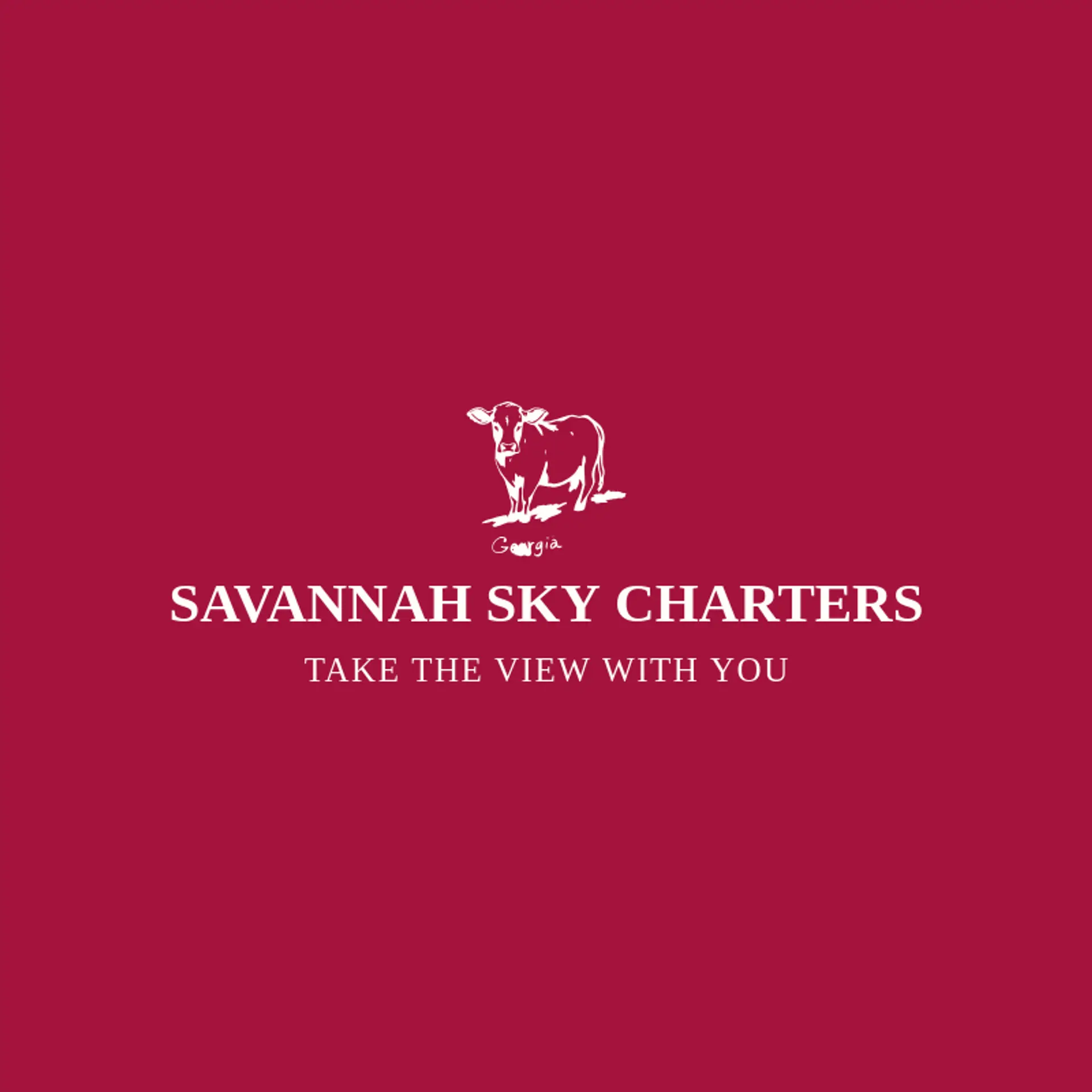 Savannah Sky Charters logo for georgia