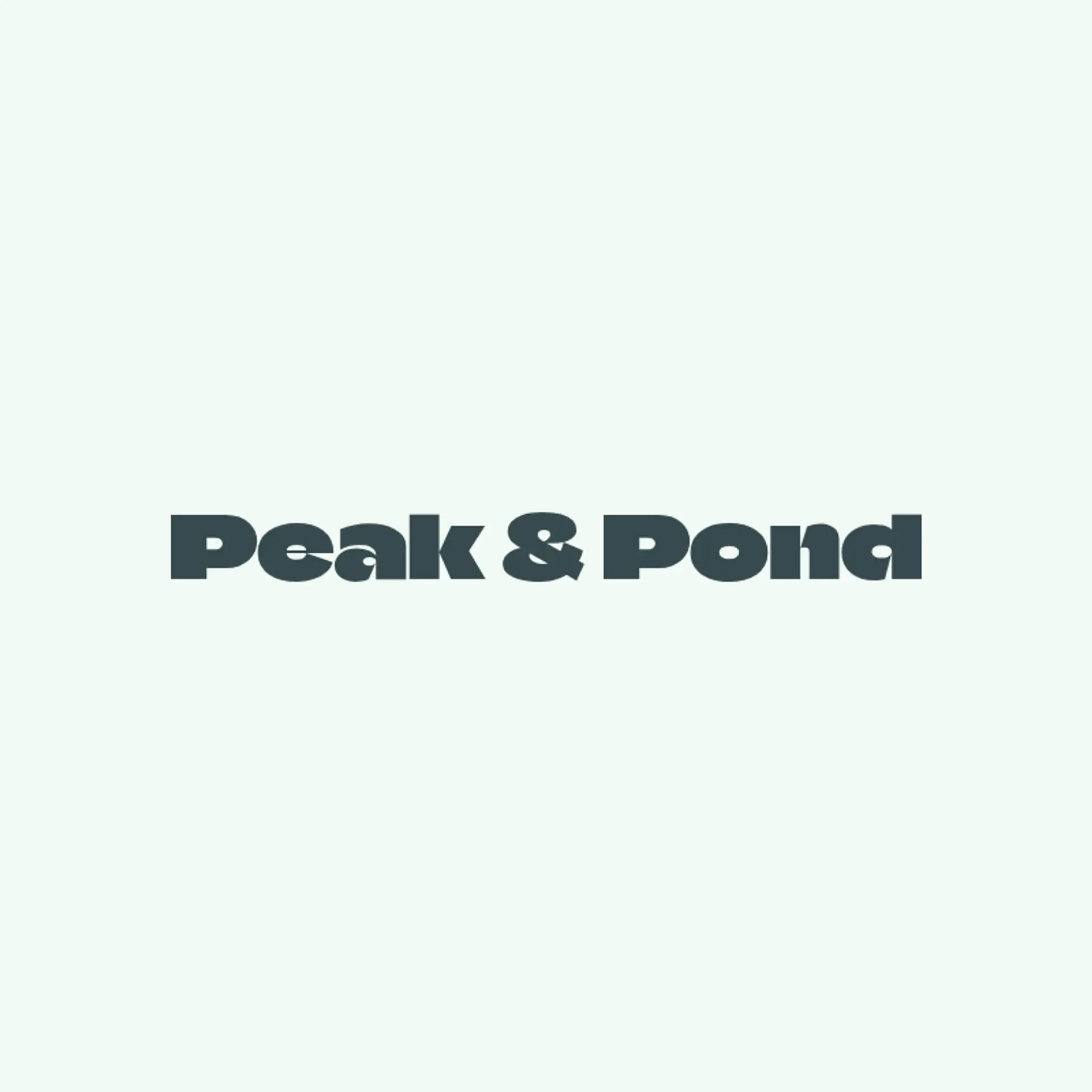 Peak & Pond logo for construction and landscaping