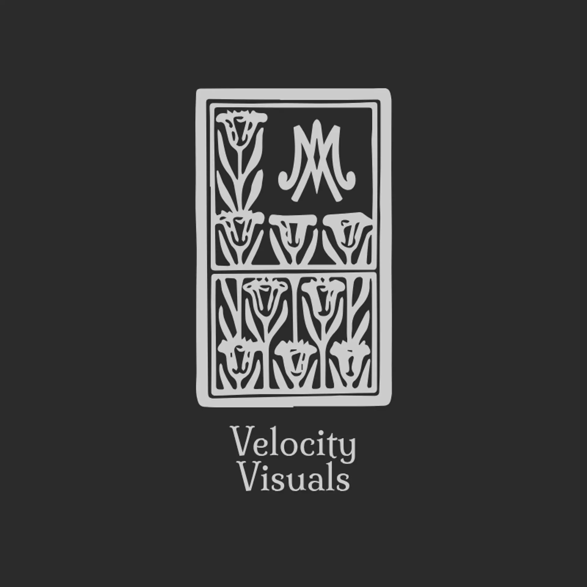 Velocity Visuals logo for car photography