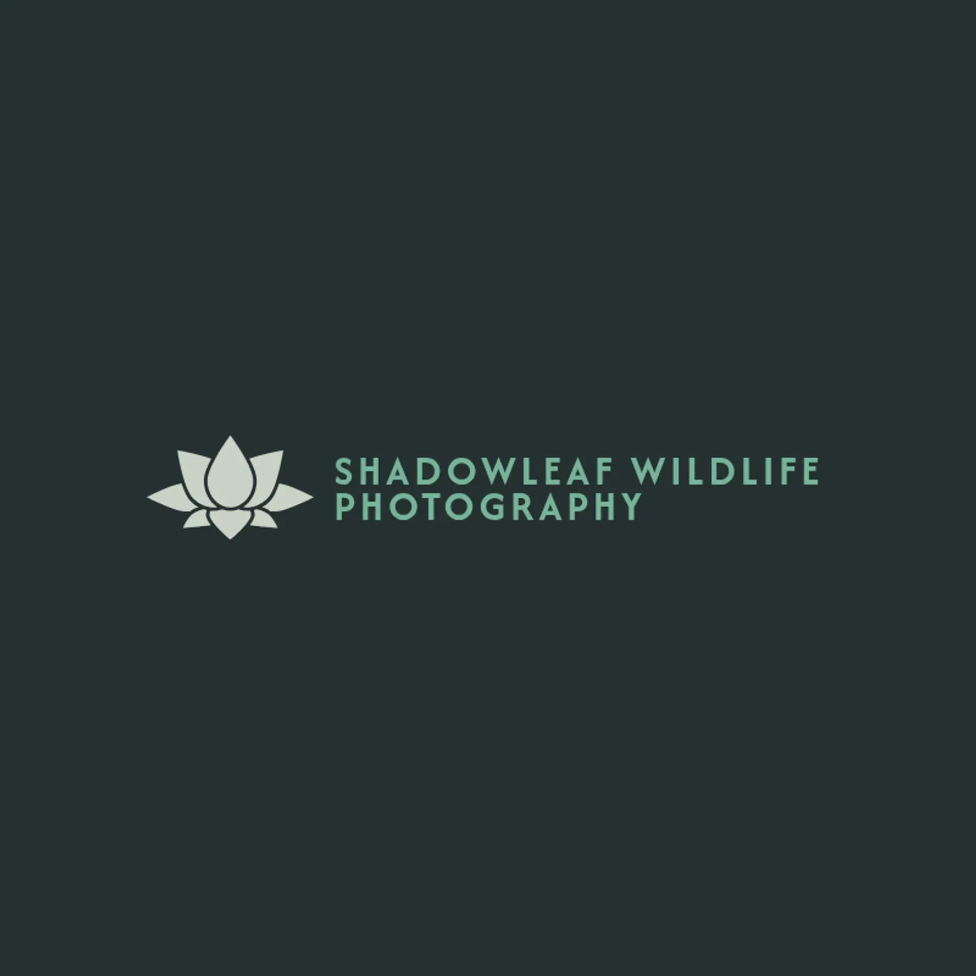 WildLens Studio logo for wildlife photography
