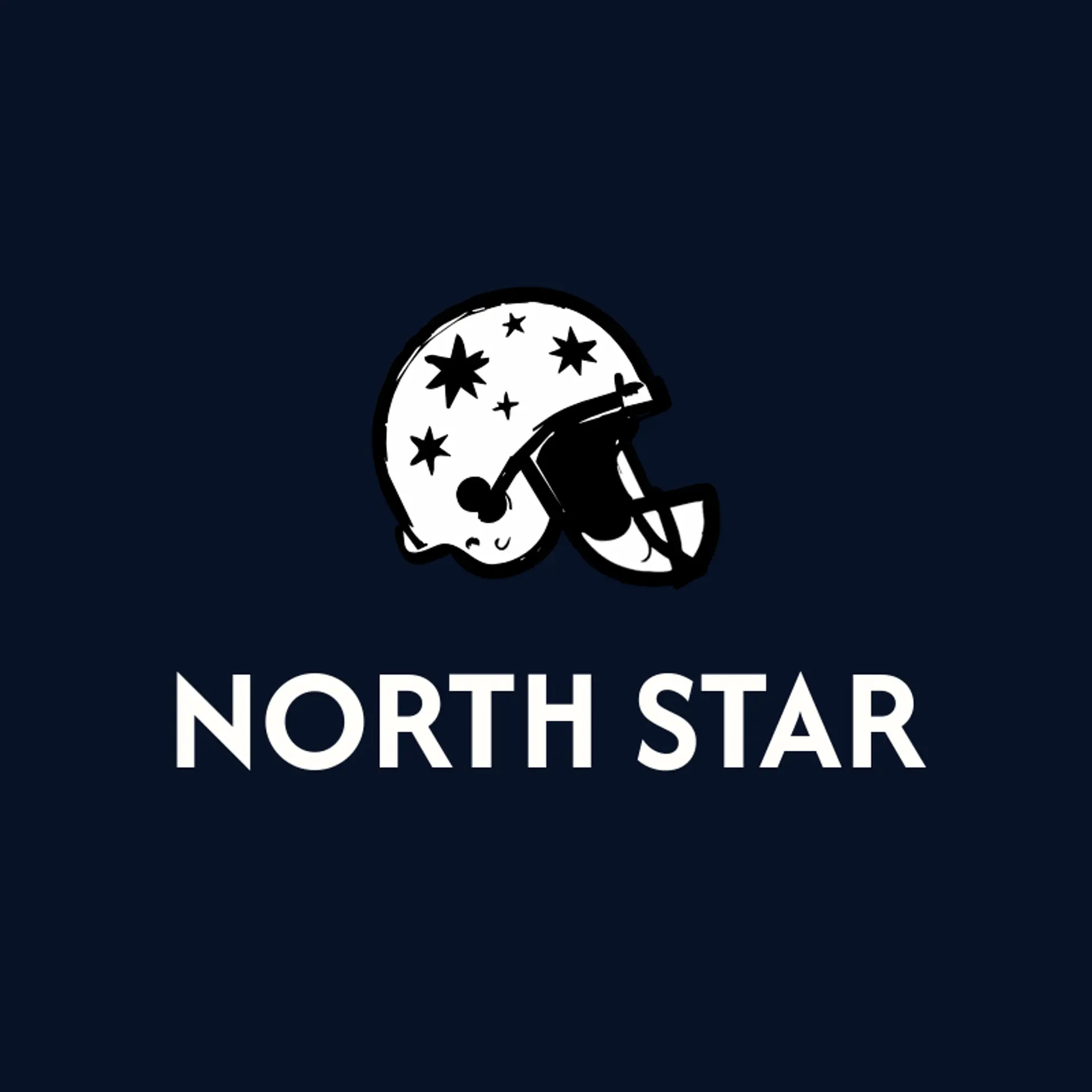 North Star logo for stars