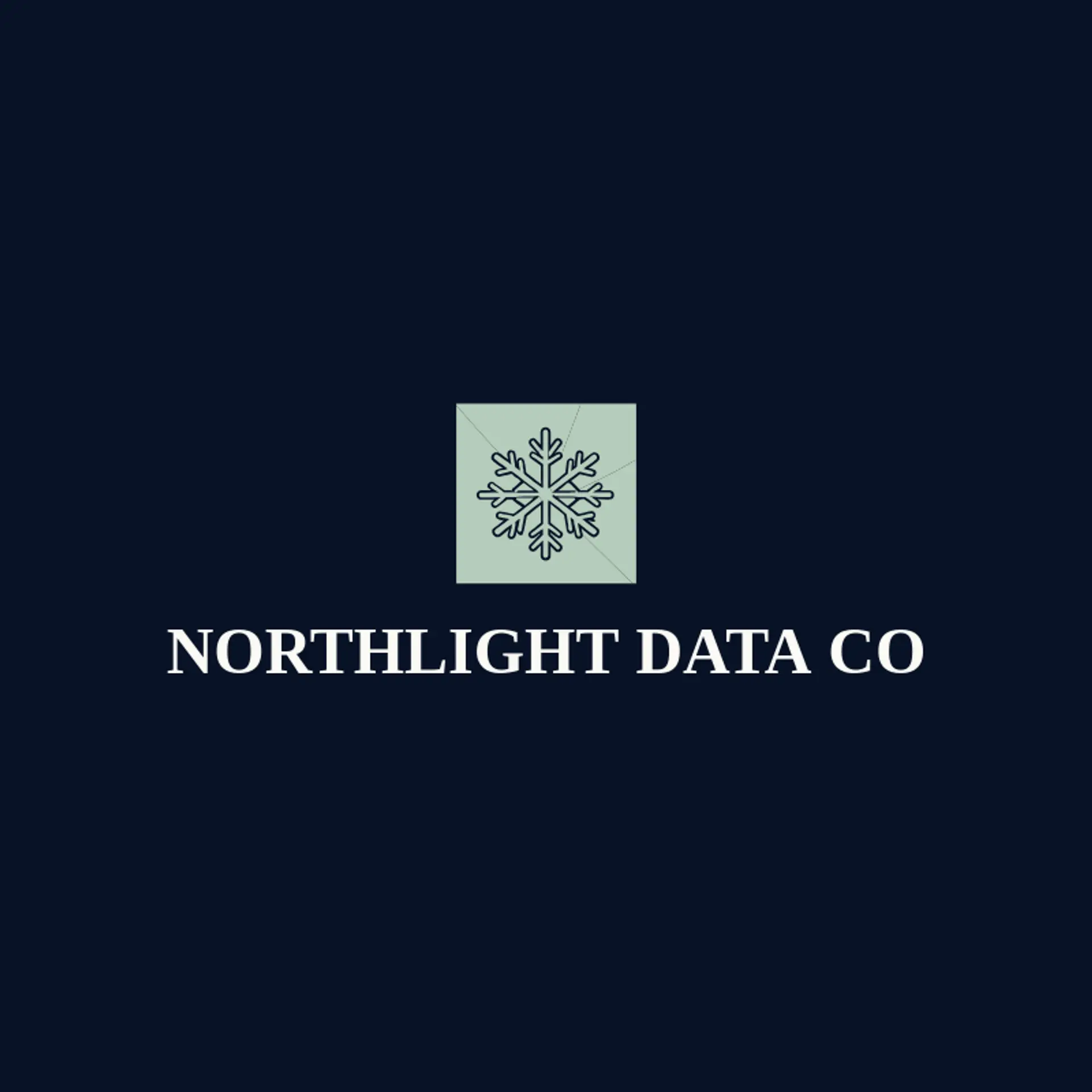Northlight Data Co logo for snowflake