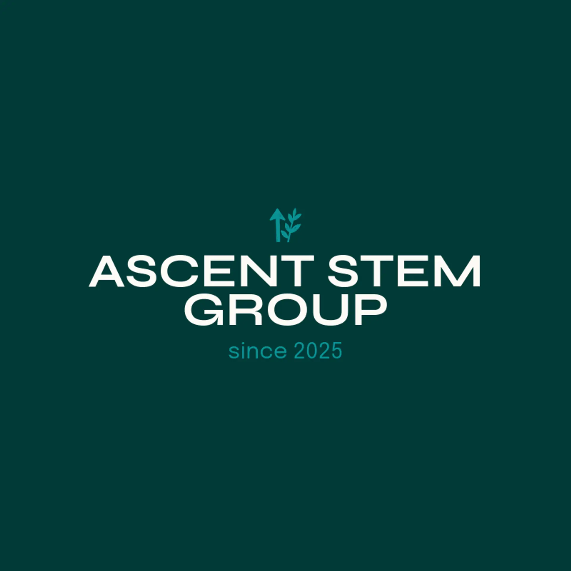 Ascent Stem Group logo for stem