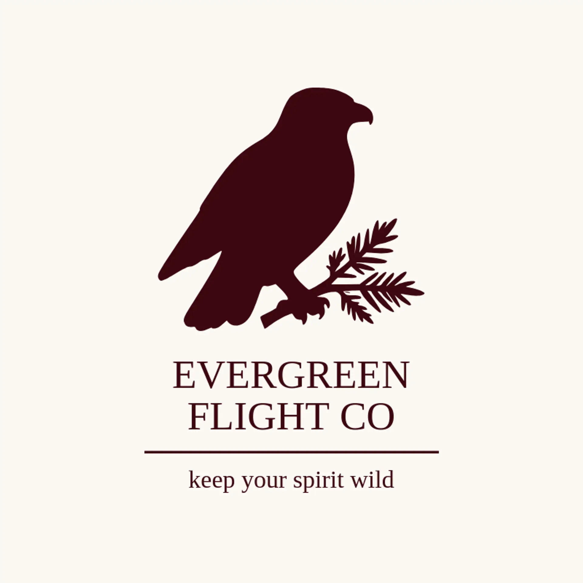 Evergreen Flight Co logo for american eagle