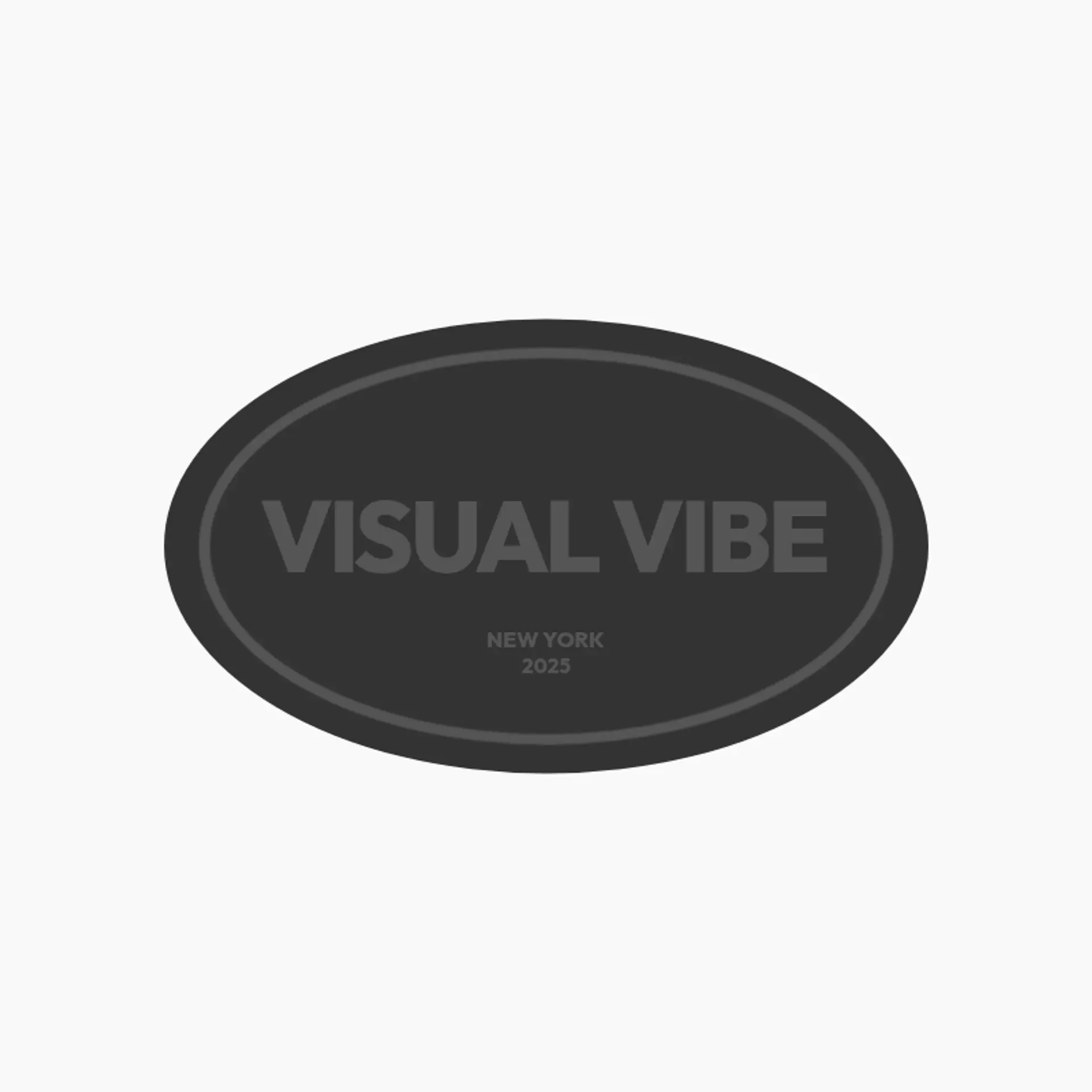 Visual Vibe logo for best photography