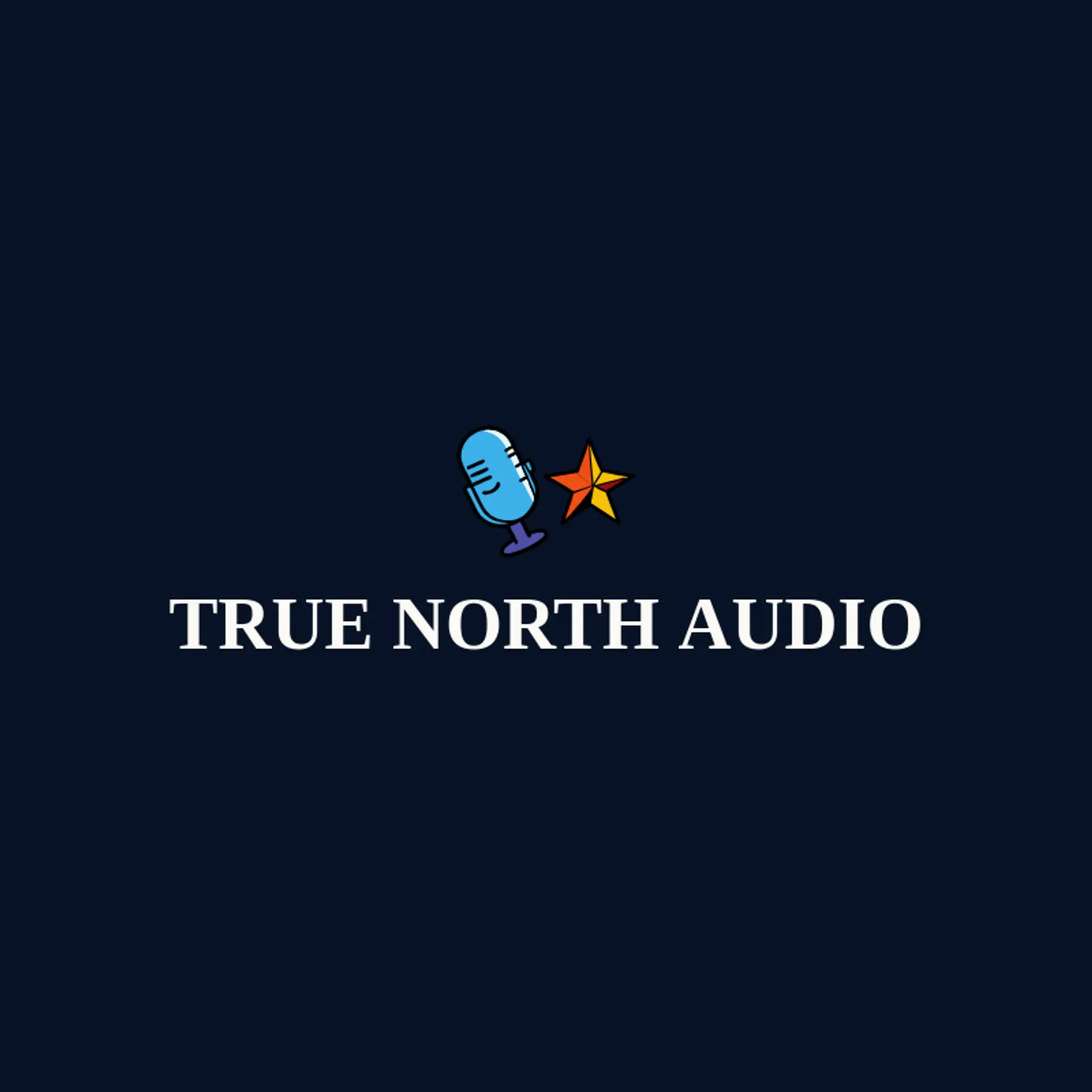 True North Audio logo for voice
