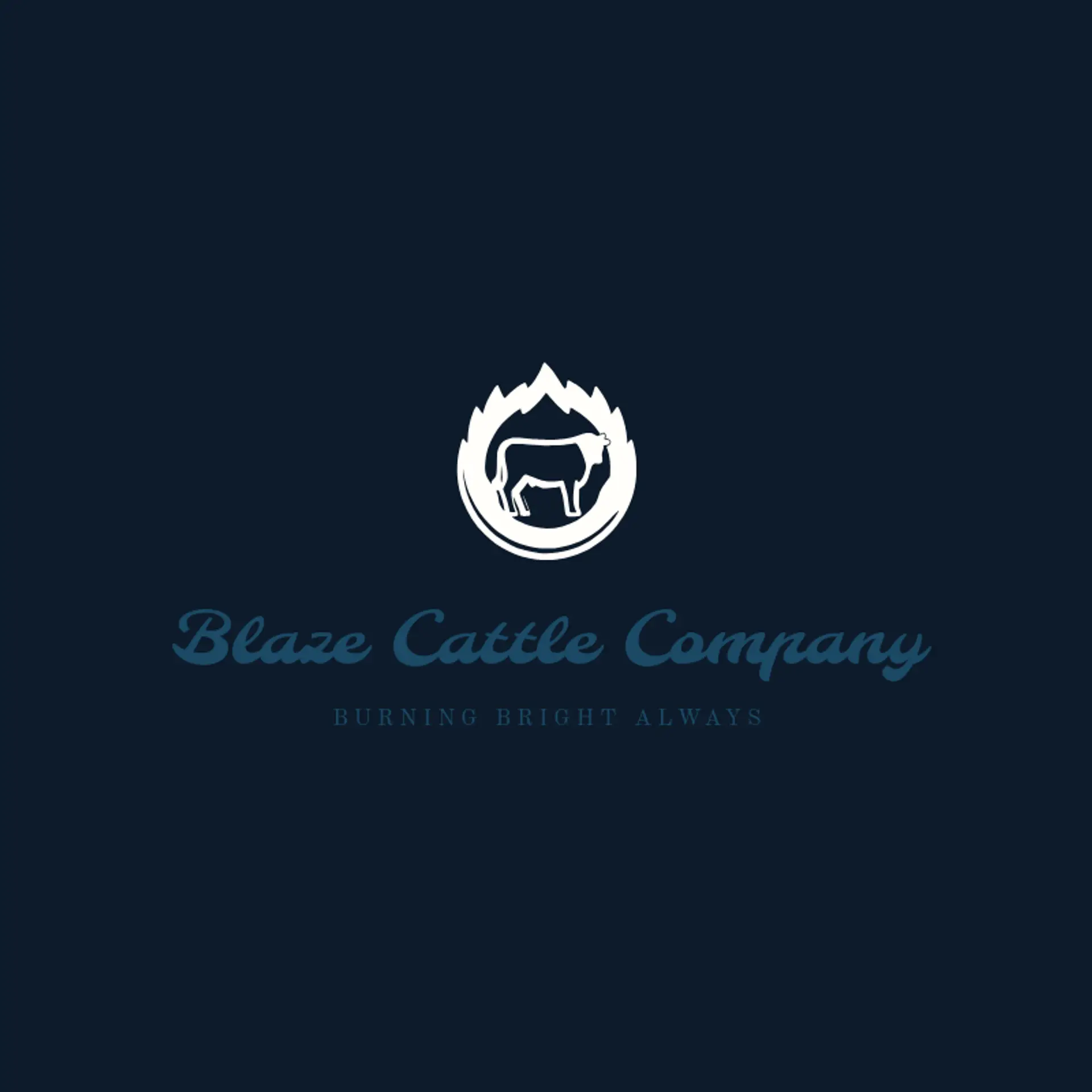 Blaze Cattle Company logo for bull