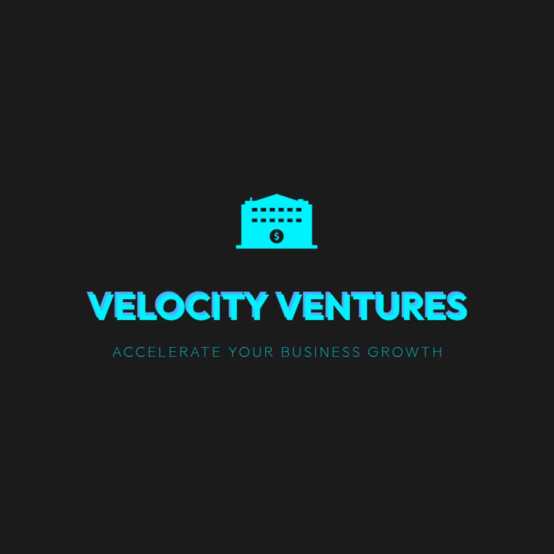 Velocity Ventures logo for business consulting