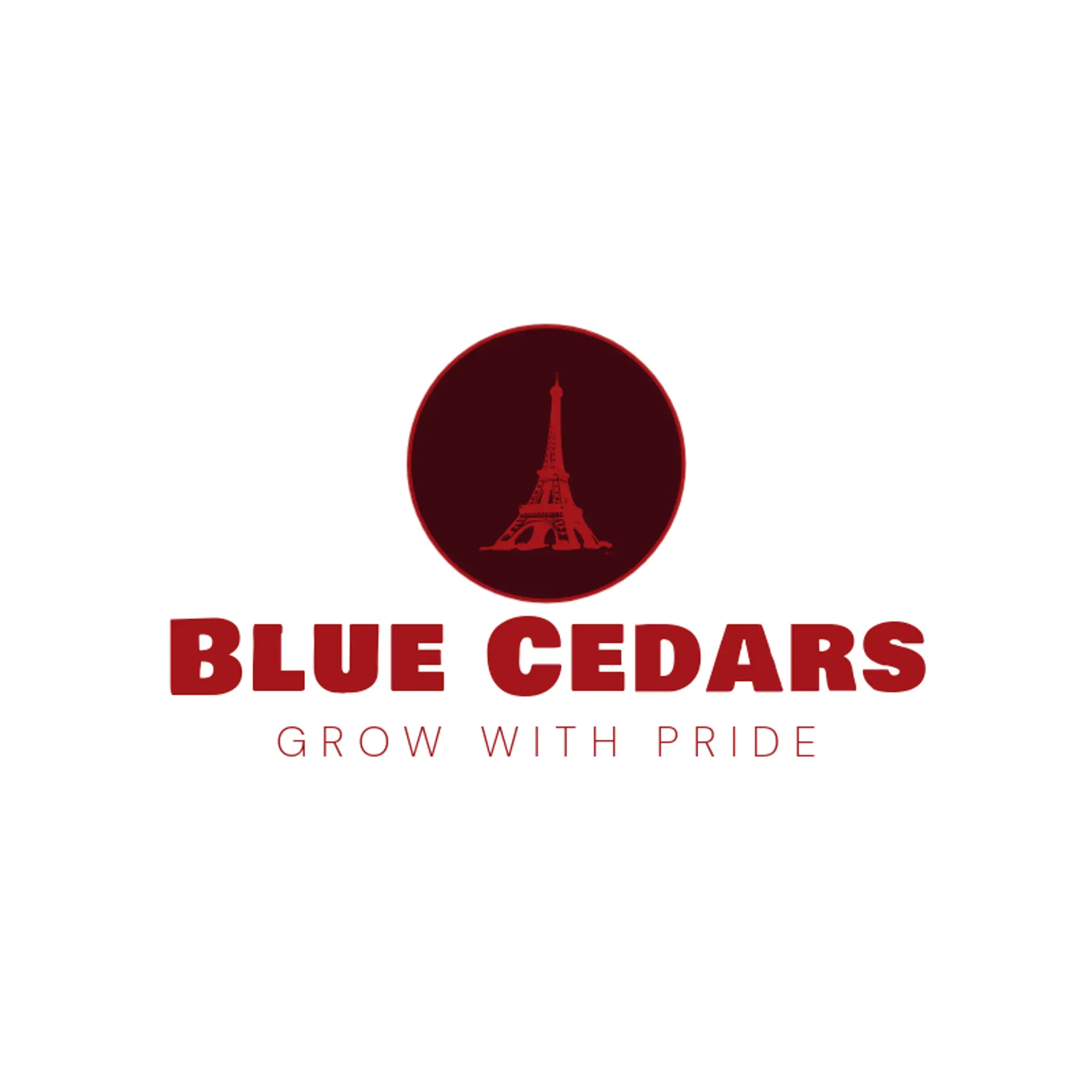 Blue Cedars logo for france