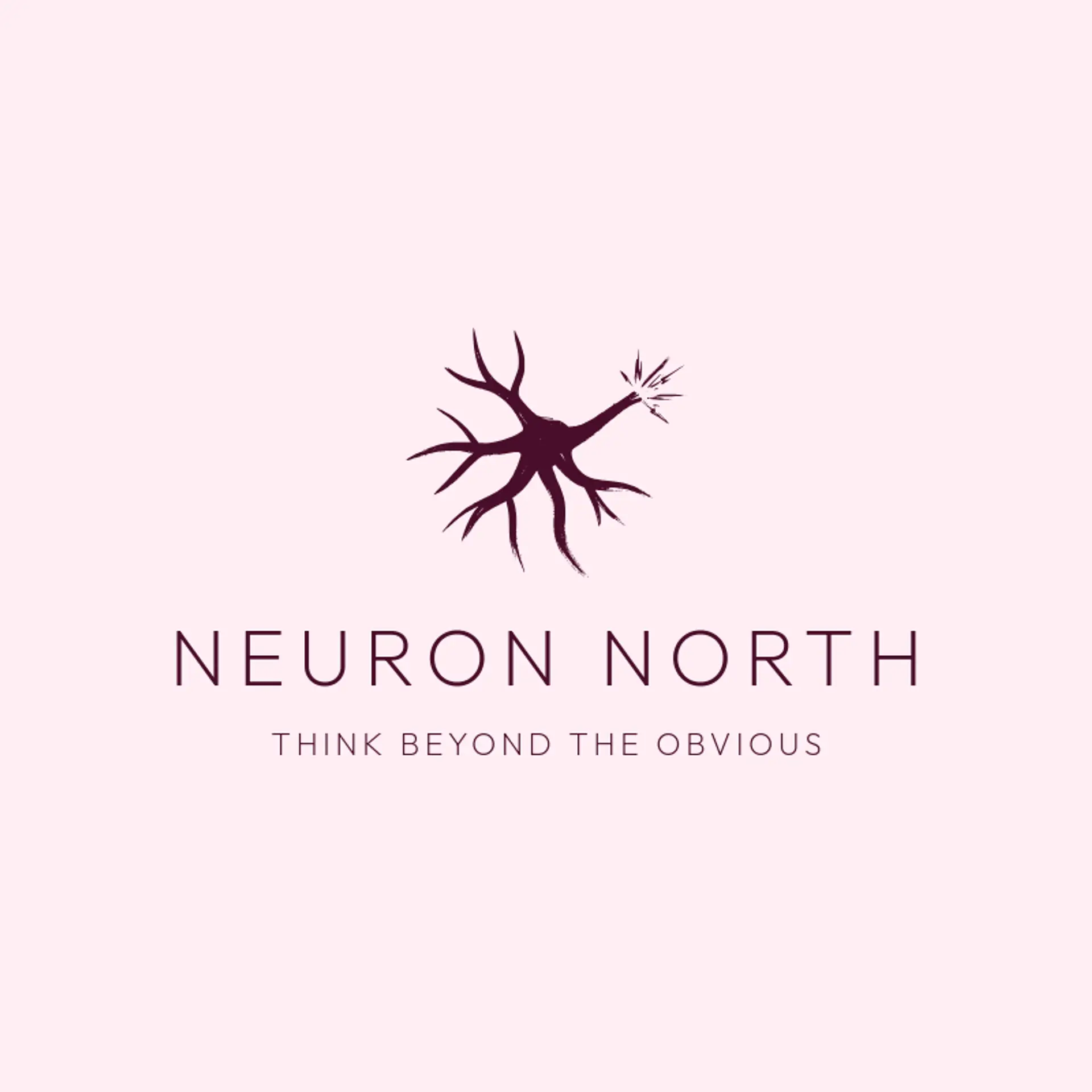 Neuron North logo for biology