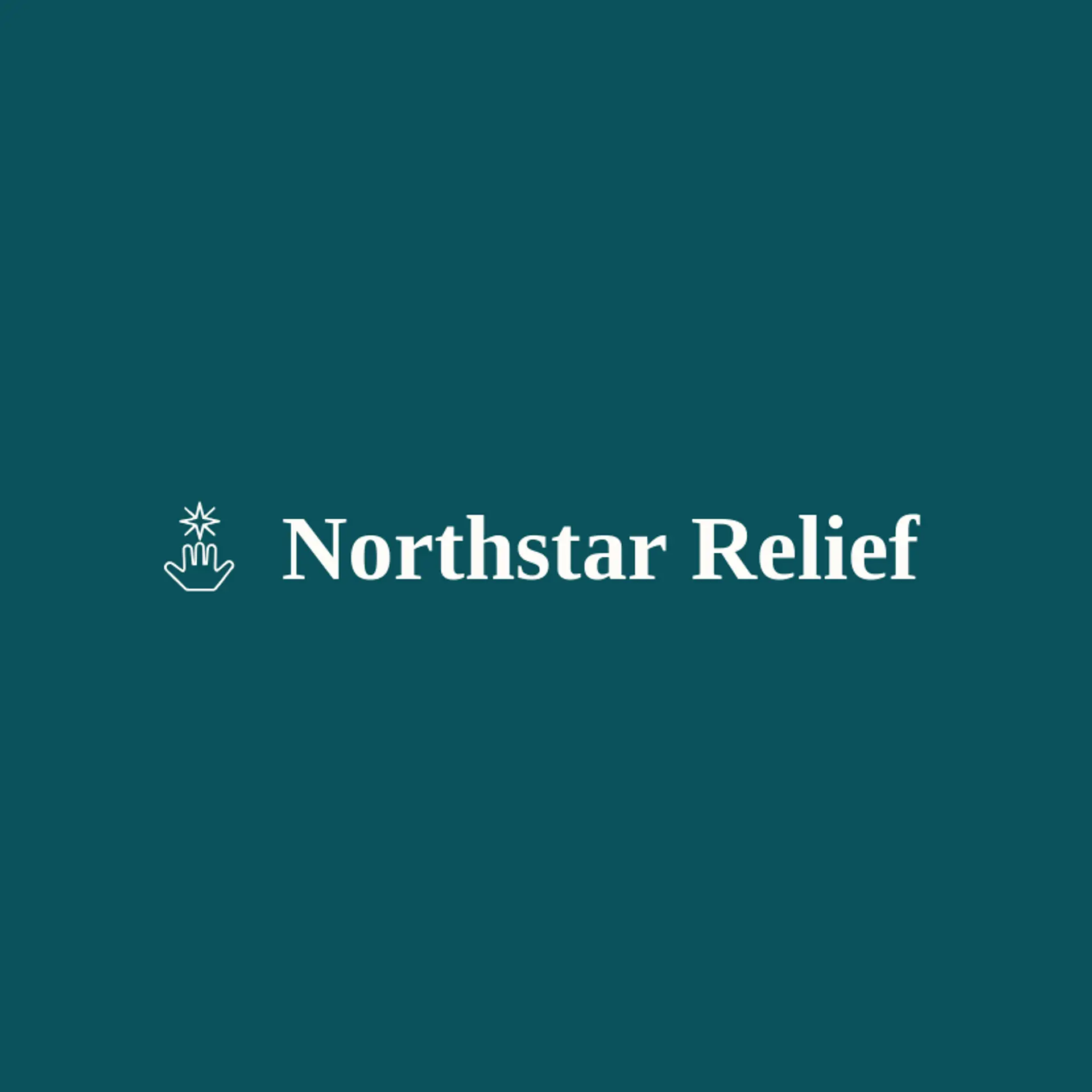 Northstar Relief logo for donation