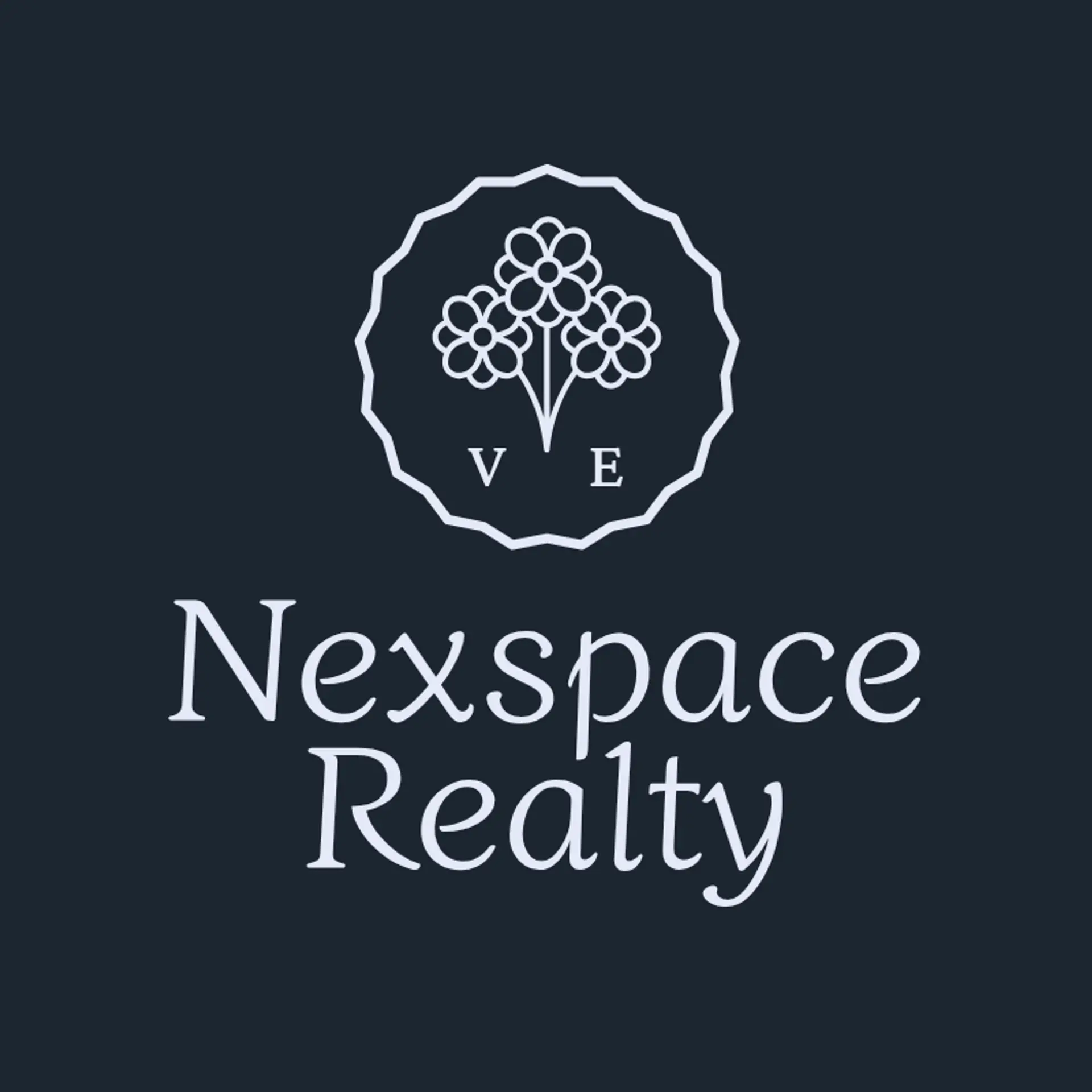 NexSpace Realty logo for modern real estate