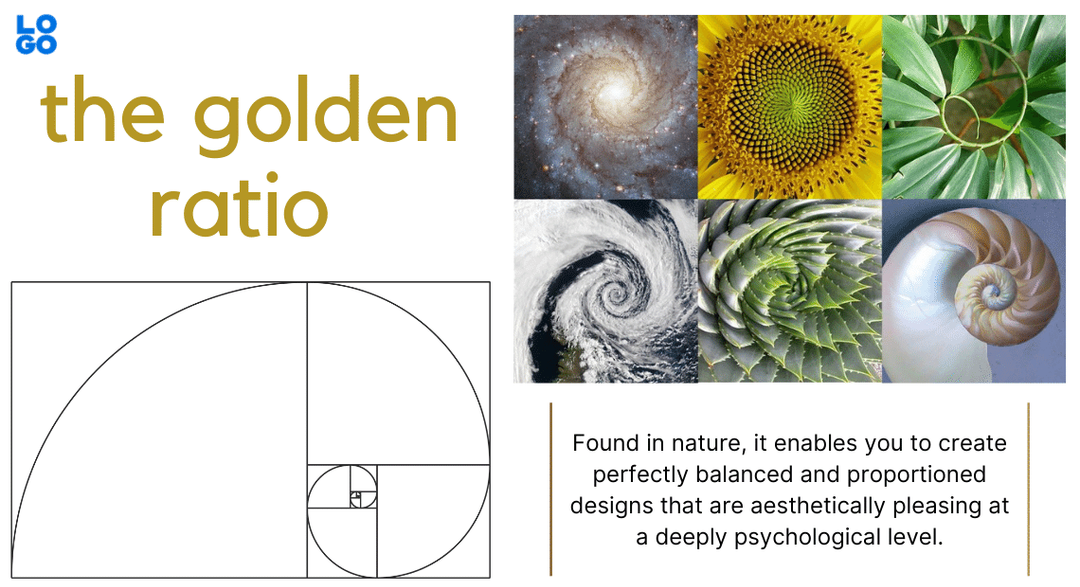 The golden ratio found naturally in nature