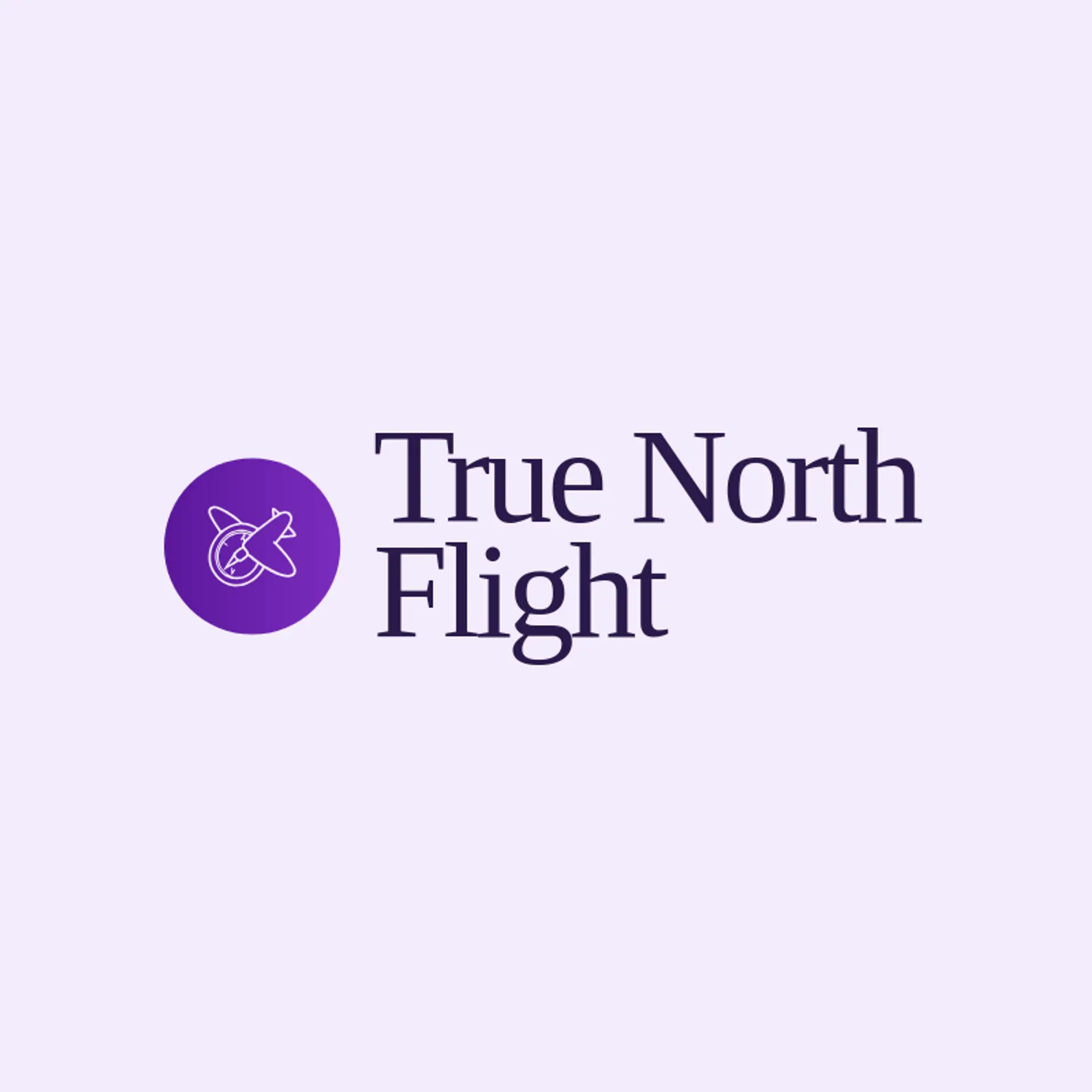 True North Flight logo for plane