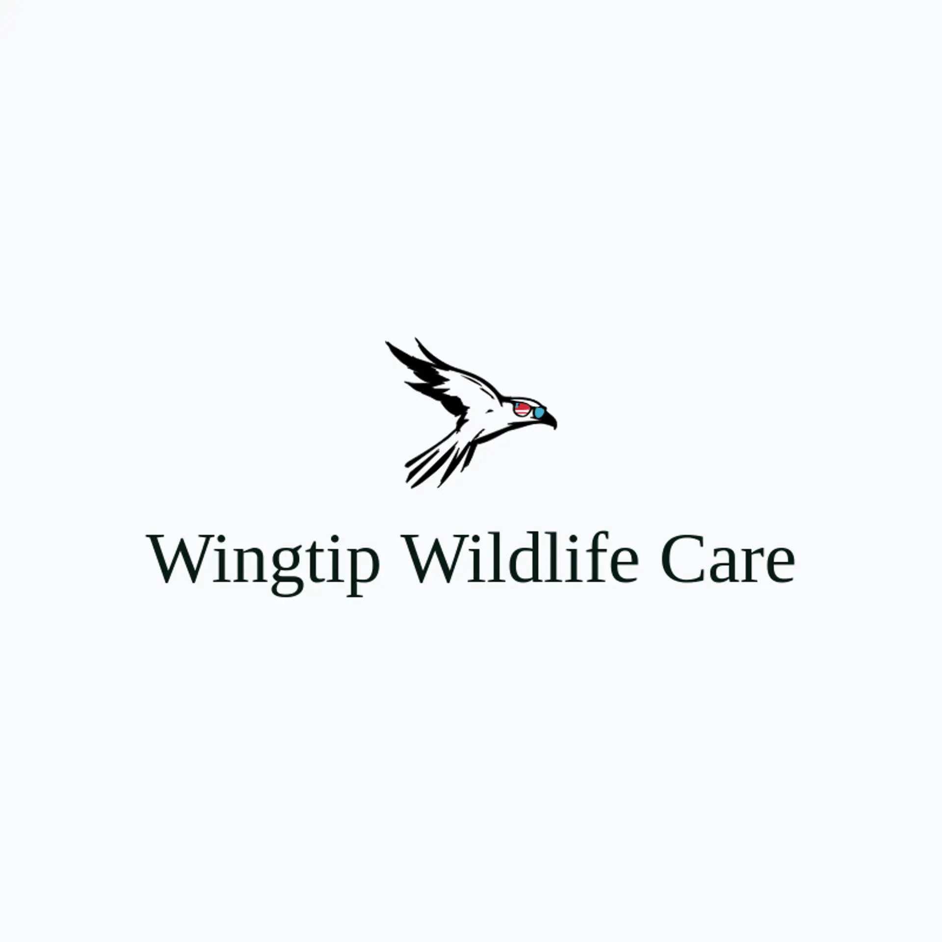 Wingtip Wildlife Care logo for falcon