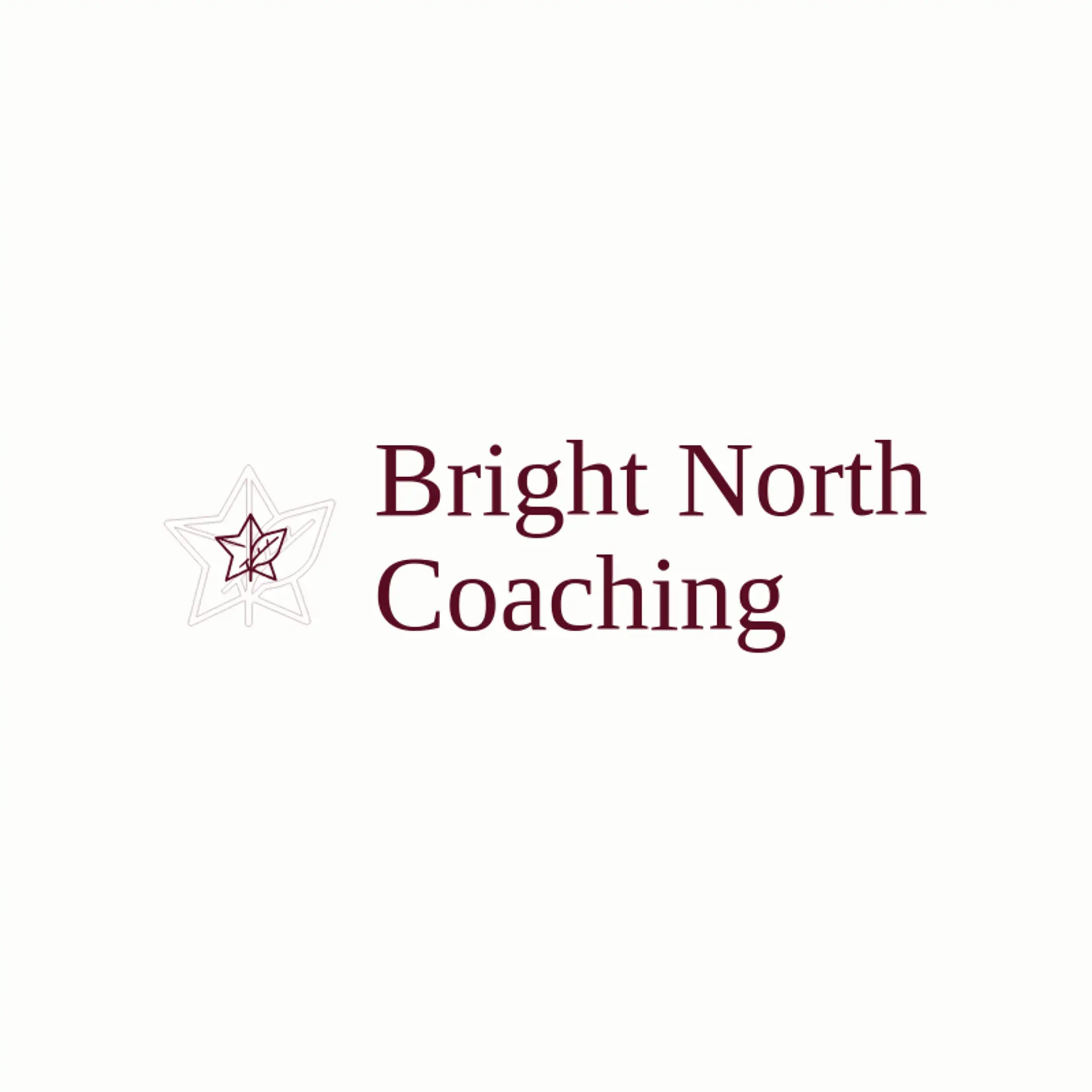 Bright North Coaching logo for coaching