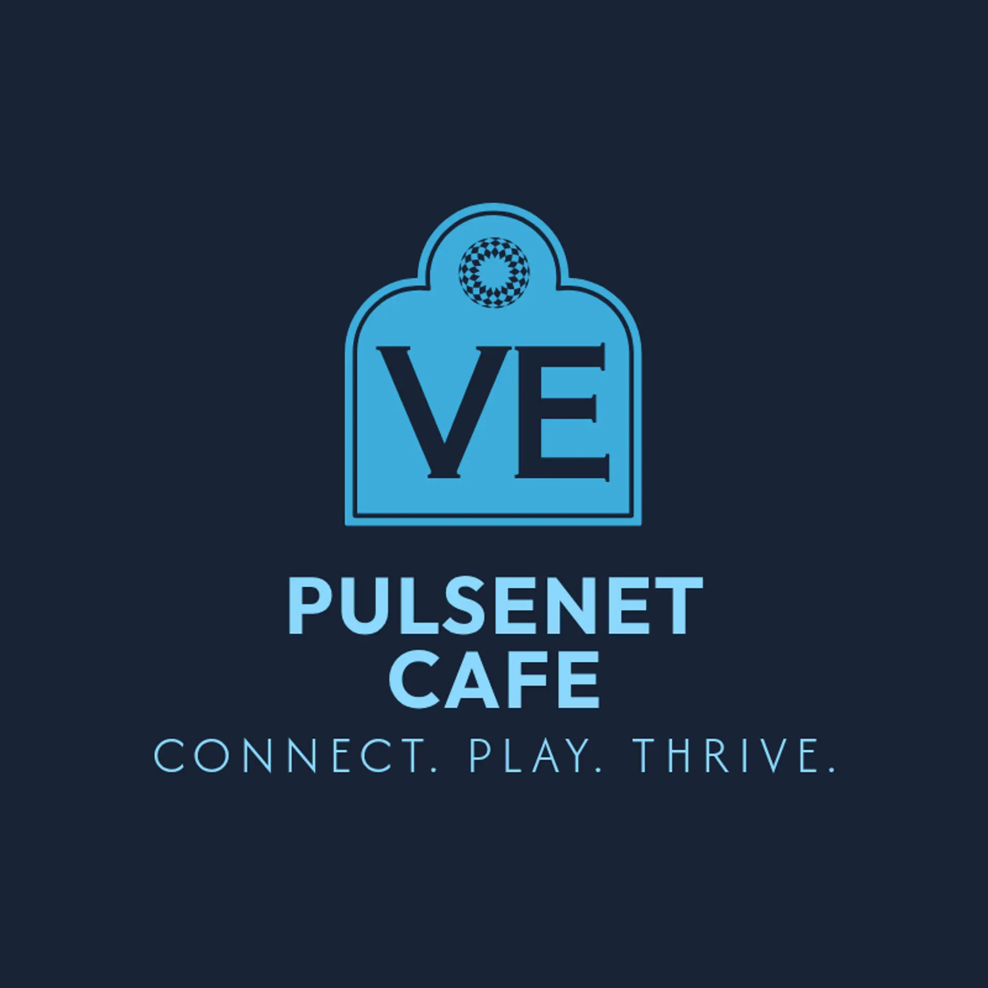 PulseNet Cafe logo for internet cafe