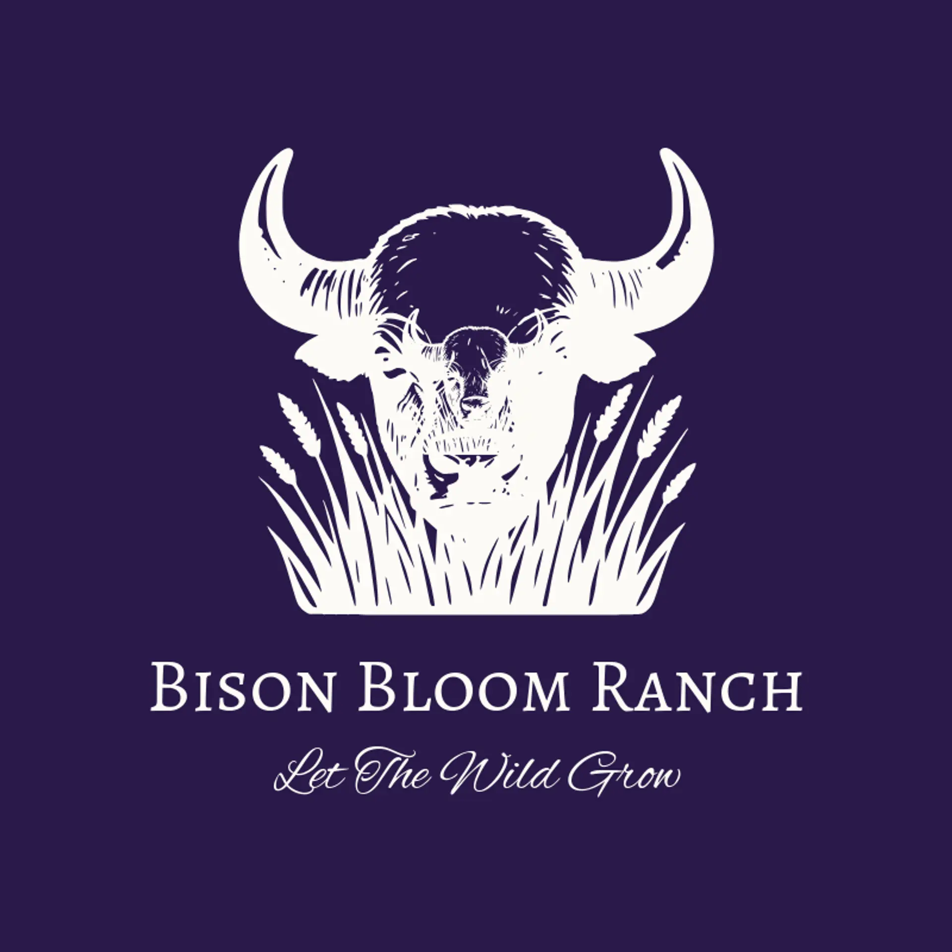 Bison Bloom Ranch logo for bison