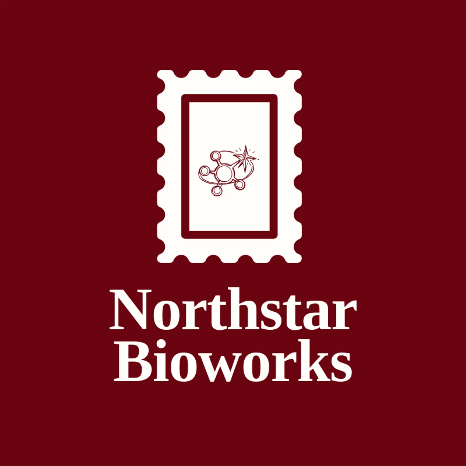 Northstar Bioworks logo for biotechnology