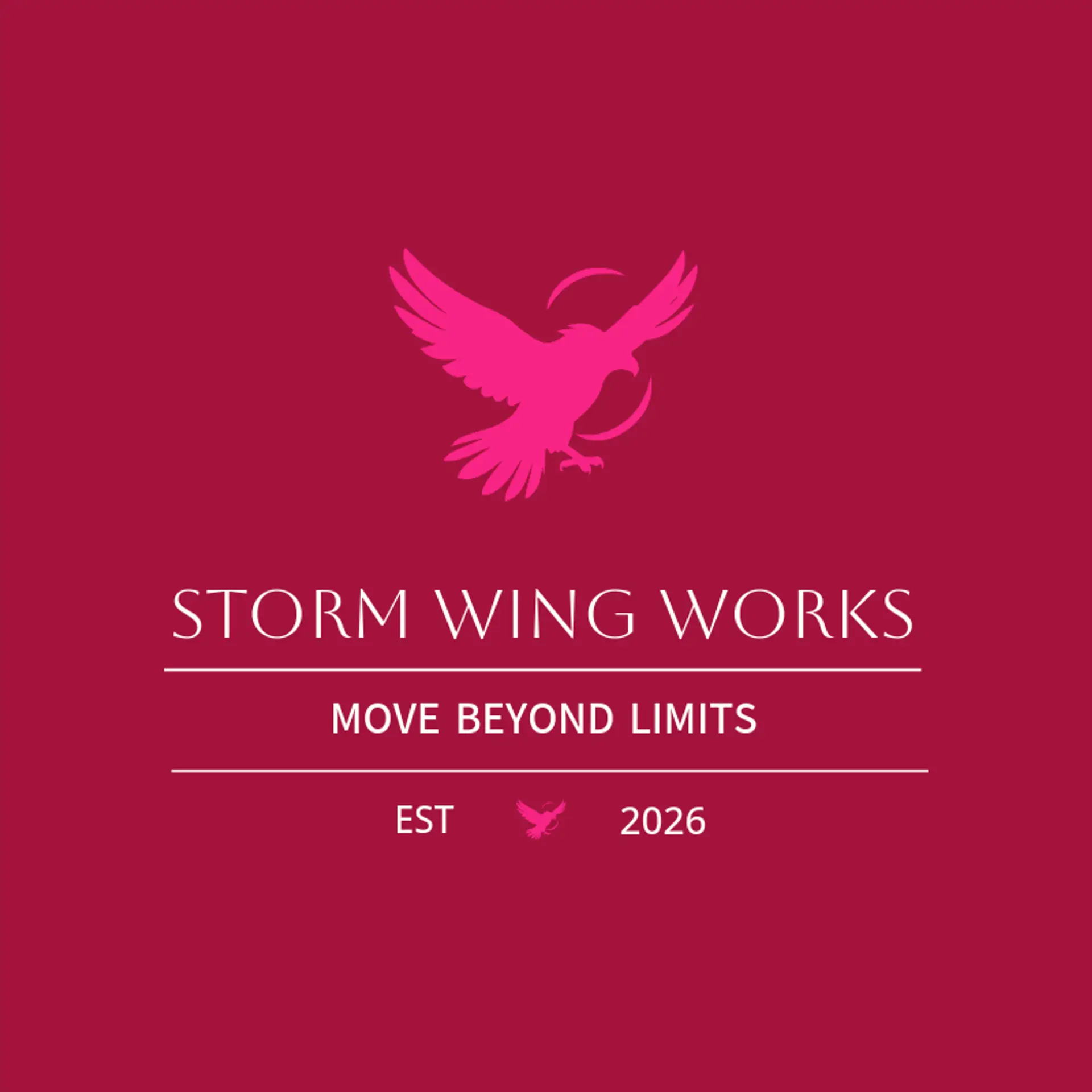Storm Wing Works logo for storm