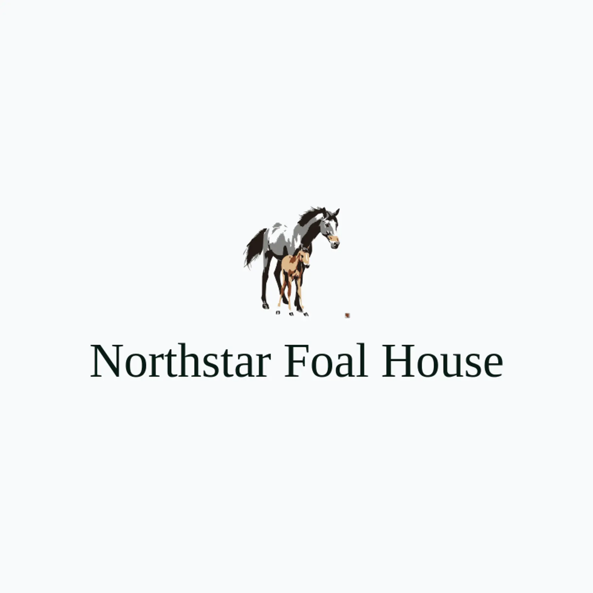 Northstar Foal House logo for colt