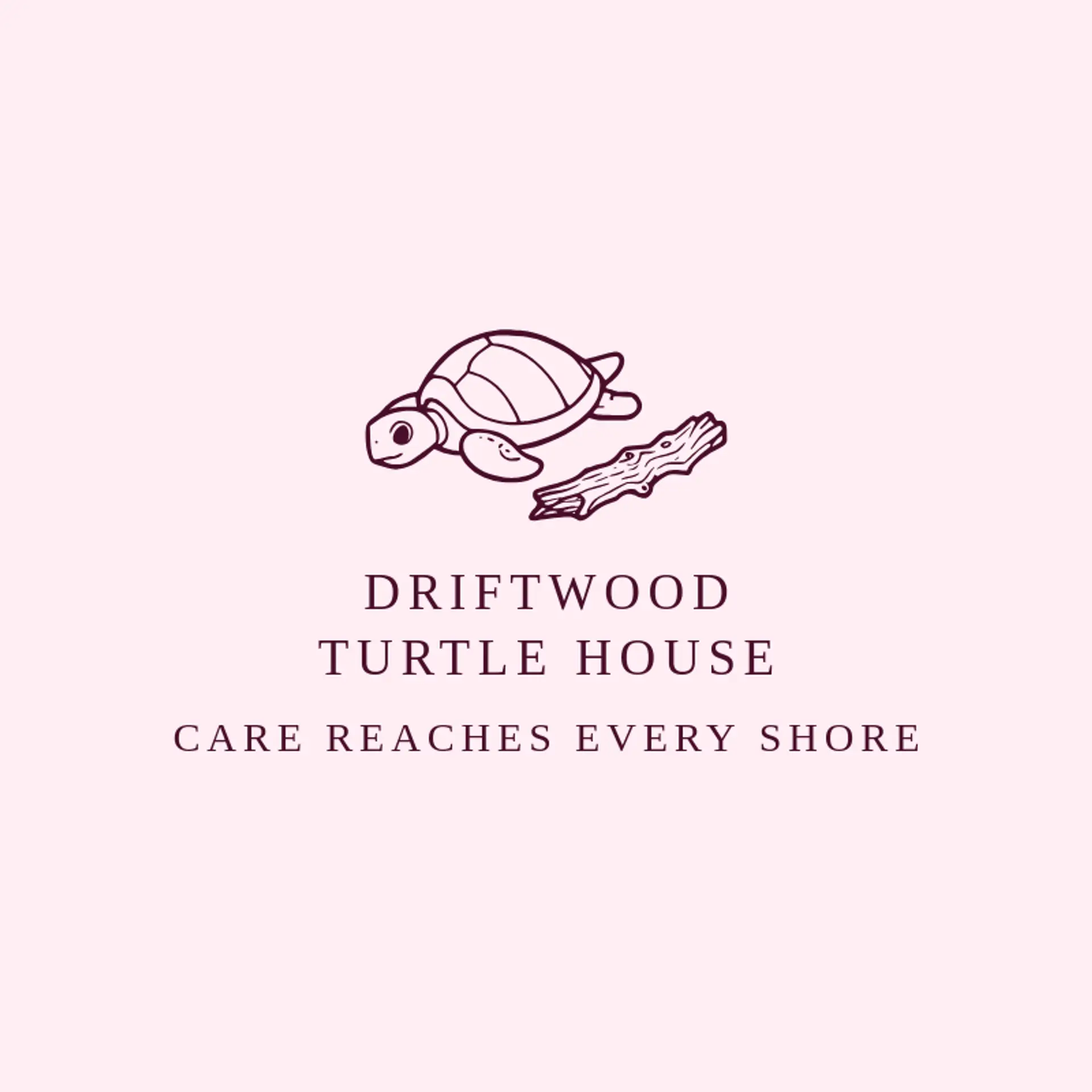 Driftwood Turtle House logo for sea turtle