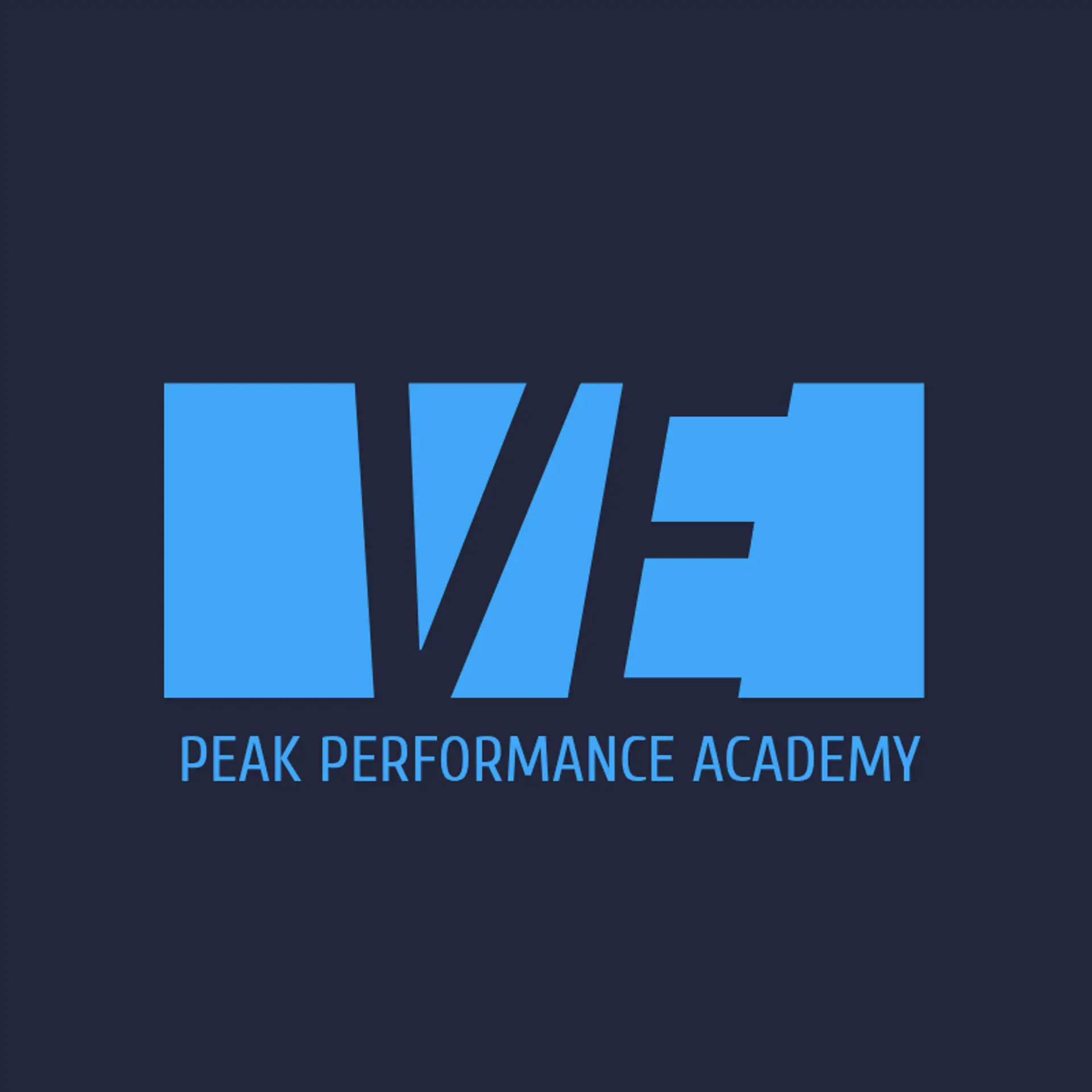 Pinnacle Play Academy logo for sports academy