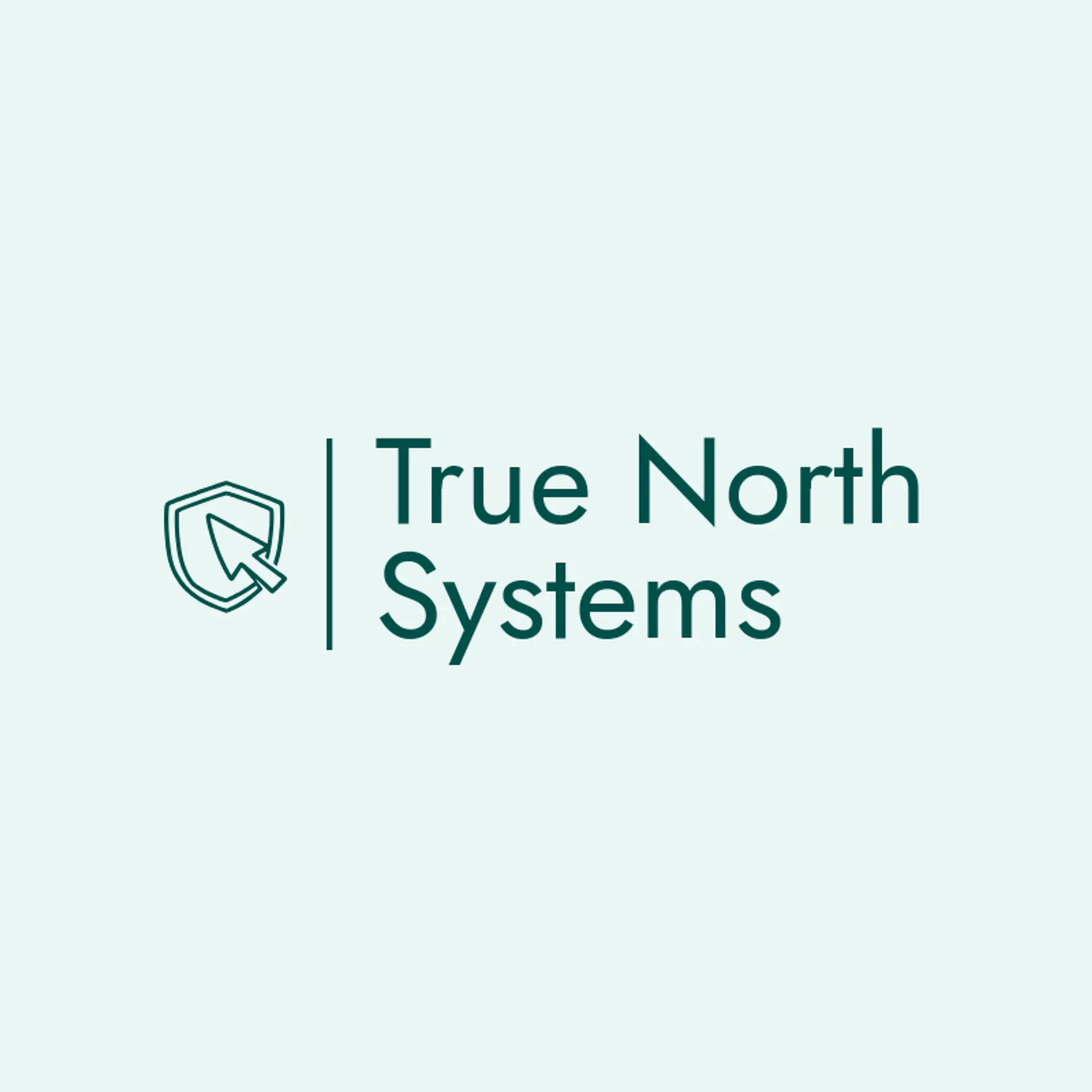 True North Systems logo for computer