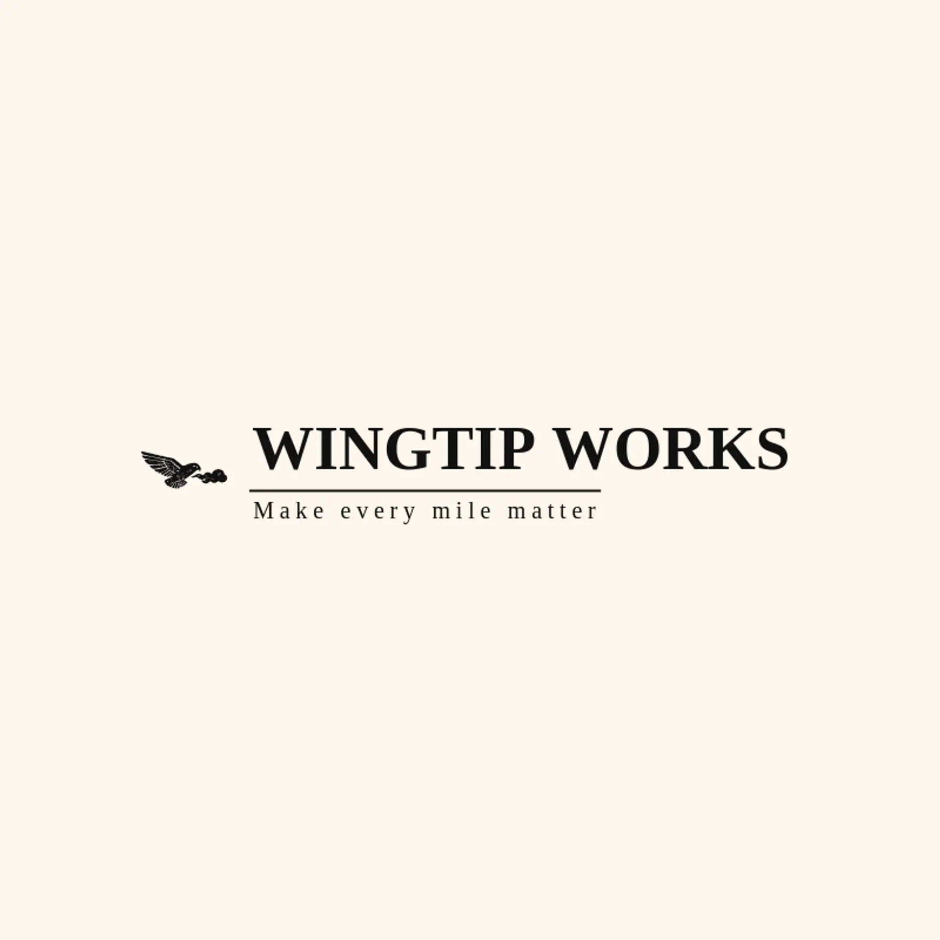 Wingtip Works logo for airforce