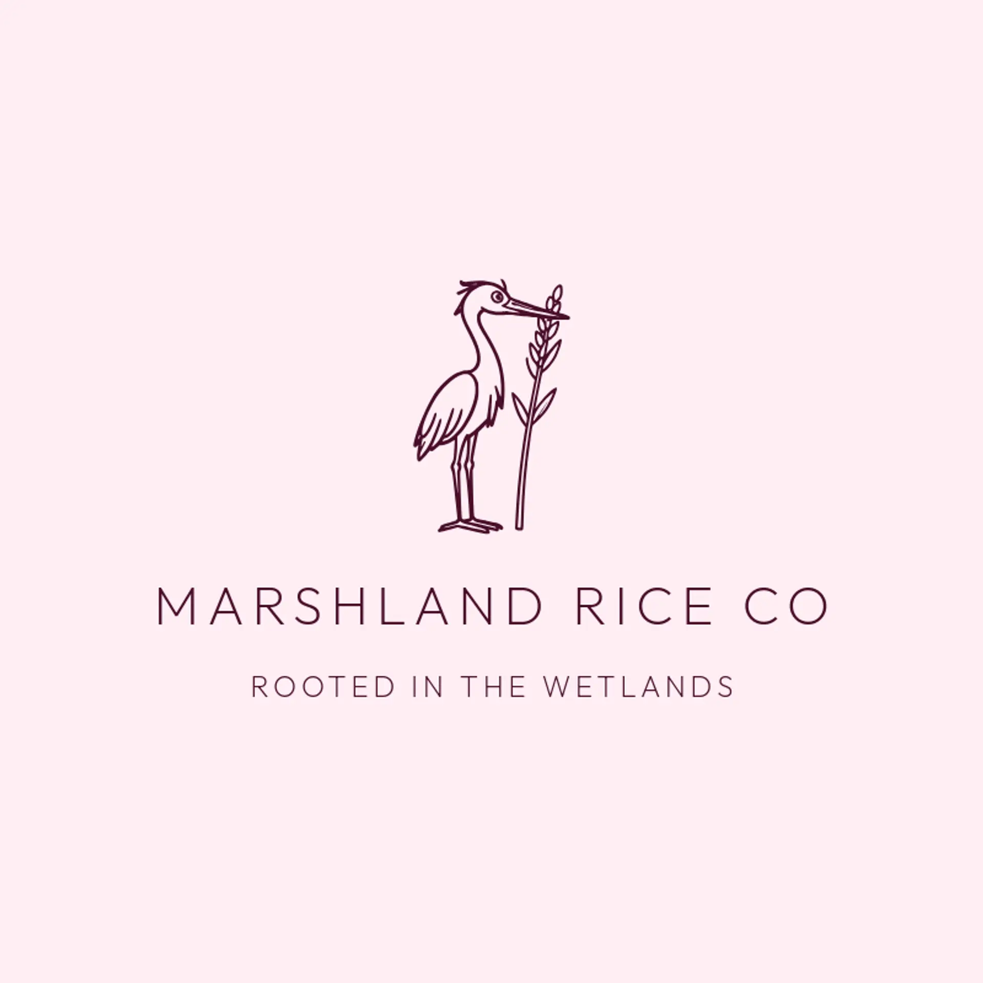 Marshland Rice Co logo for rice
