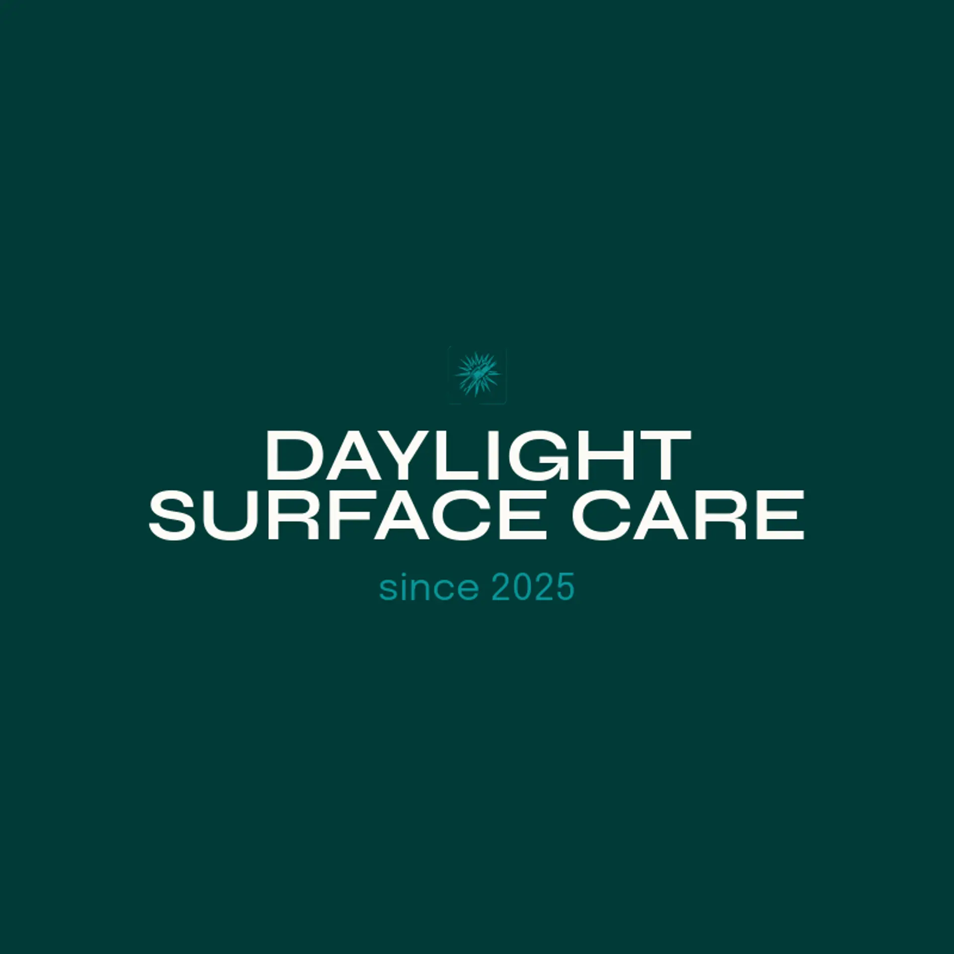 Daylight Surface Care logo for pressure wash
