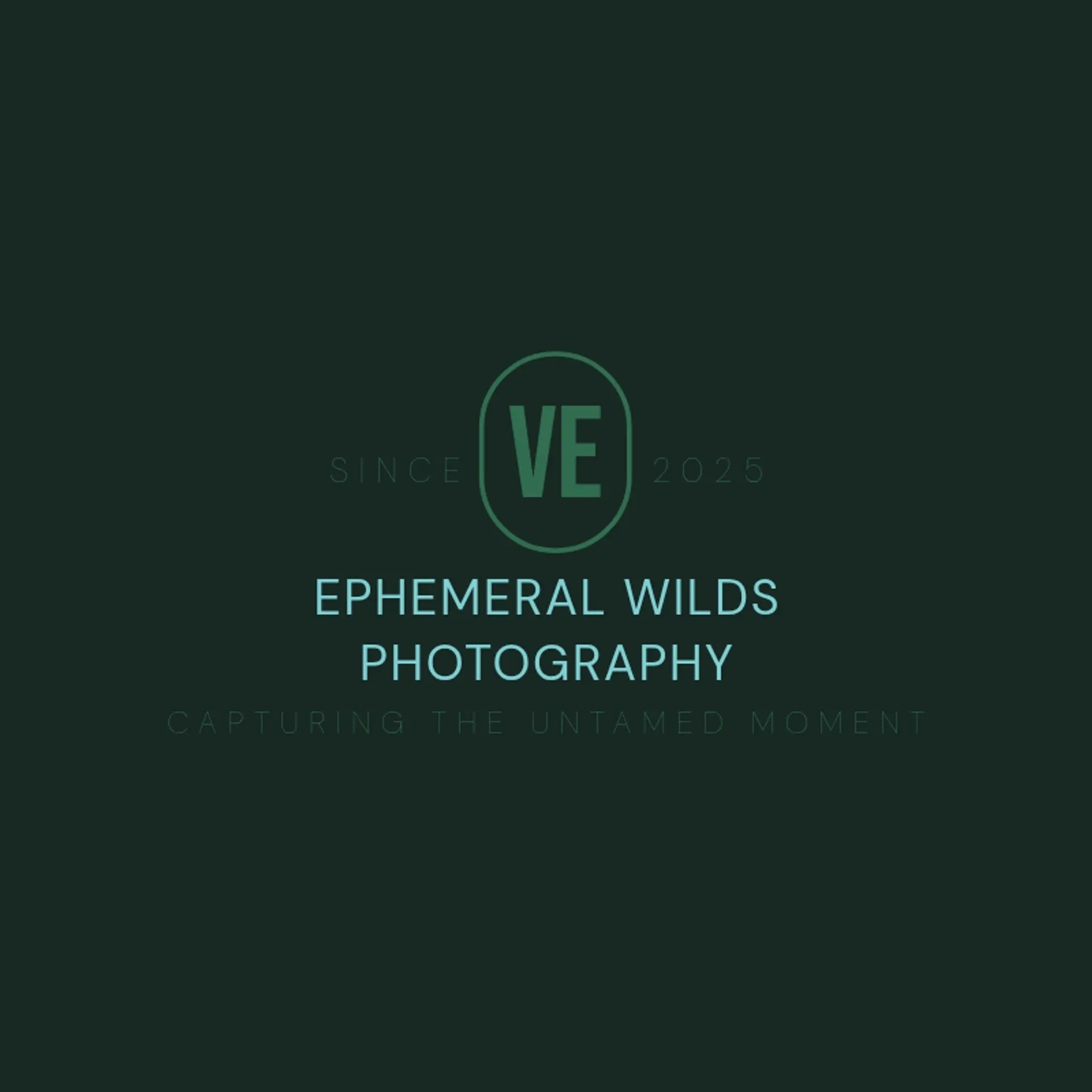 WildLens Imagery logo for wildlife photography