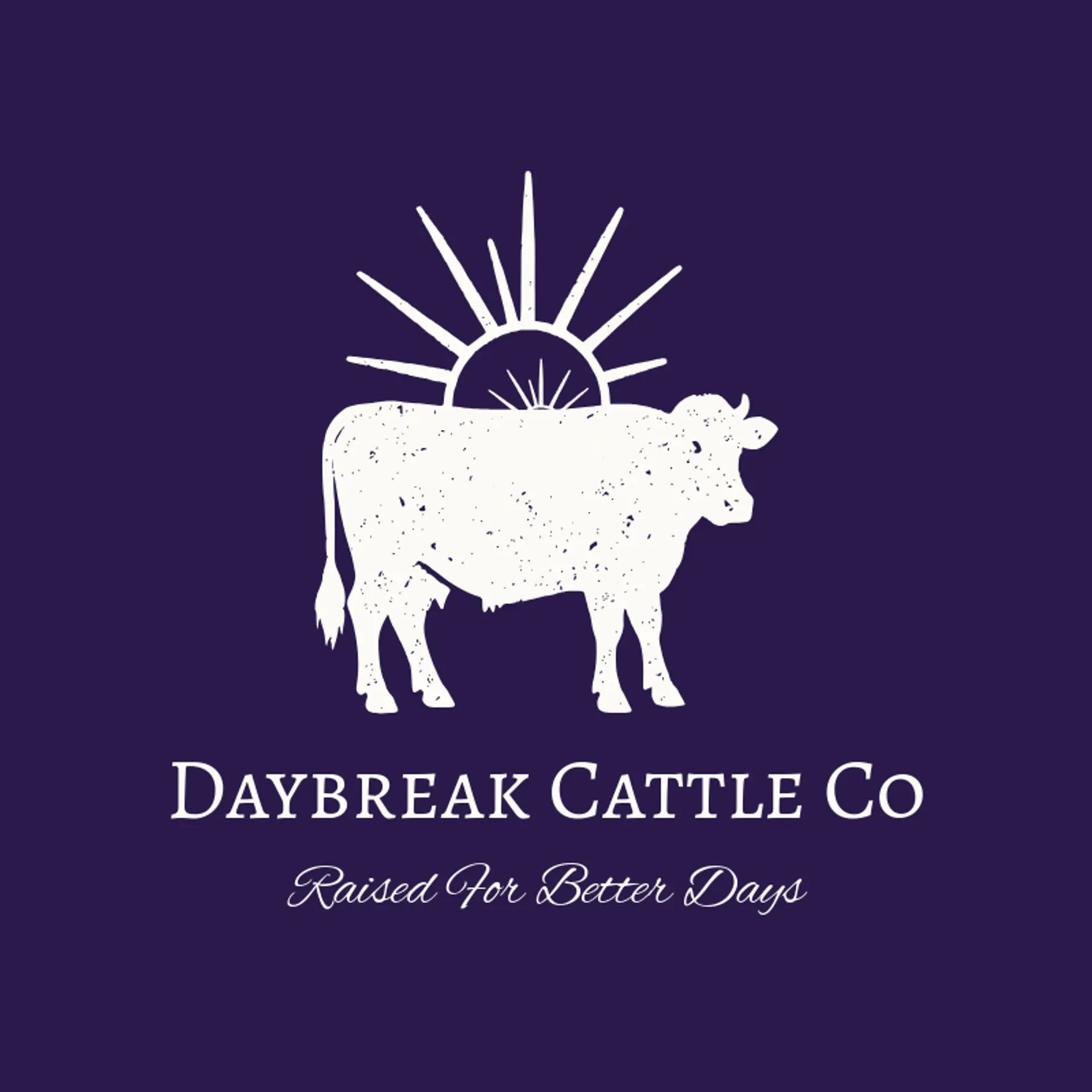 Daybreak Cattle Co logo for cow