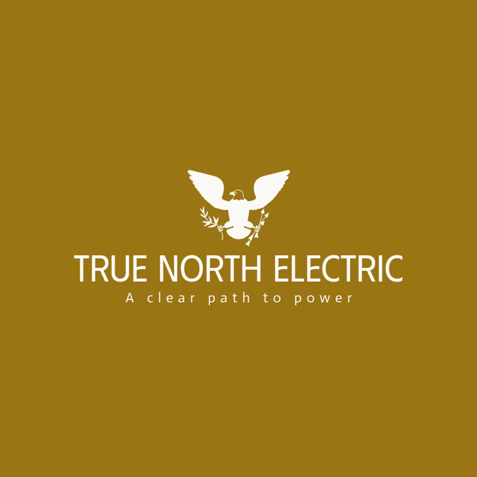 True North Electric logo for current