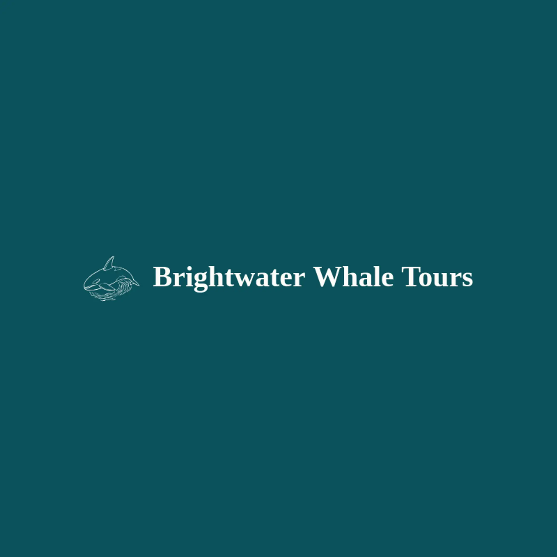Brightwater Whale Tours logo for whale