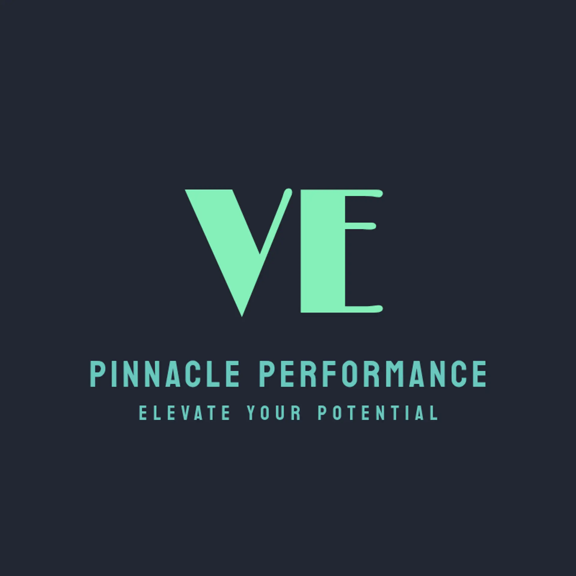 Pinnacle Performance logo for fitness training