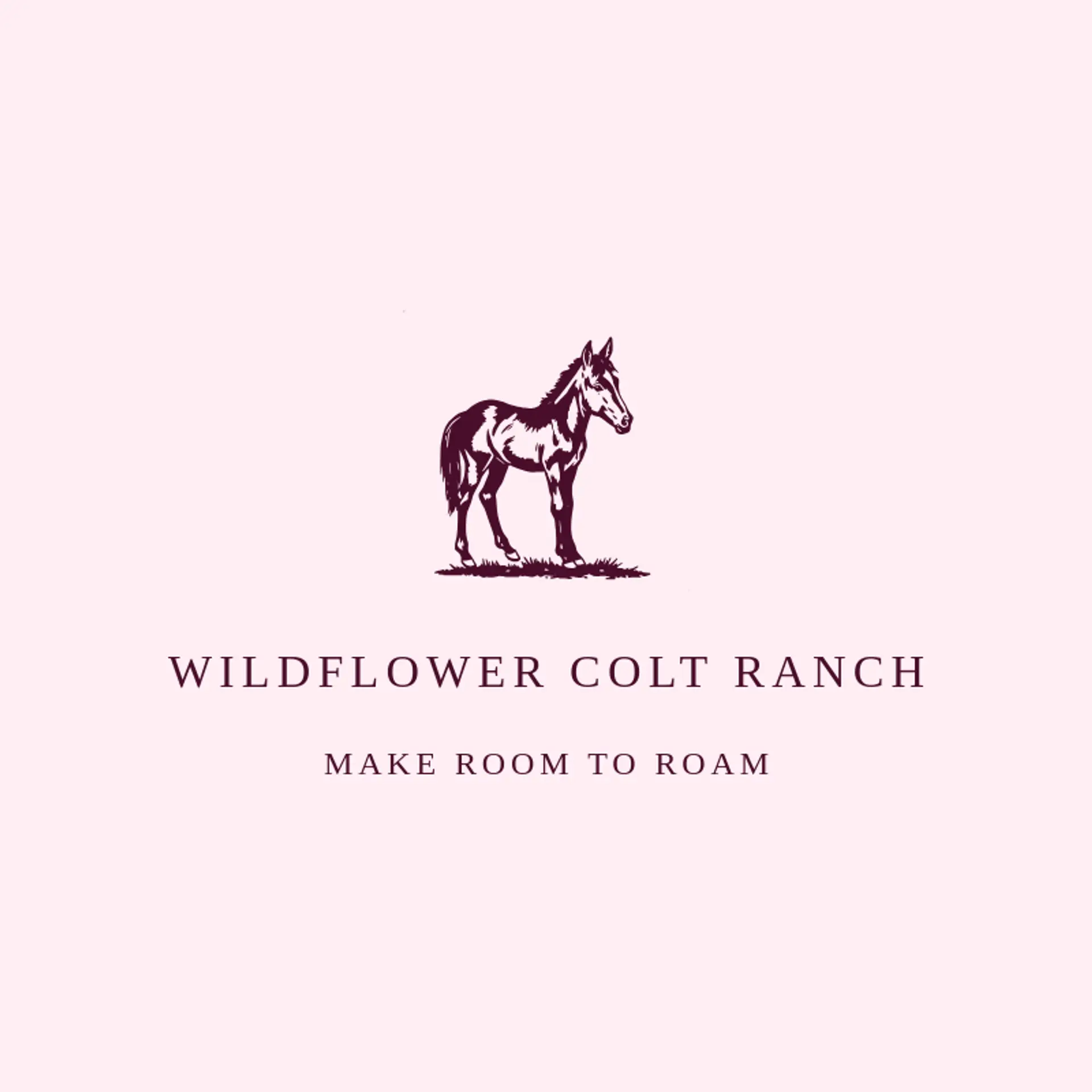 Wildflower Colt Ranch logo for colt