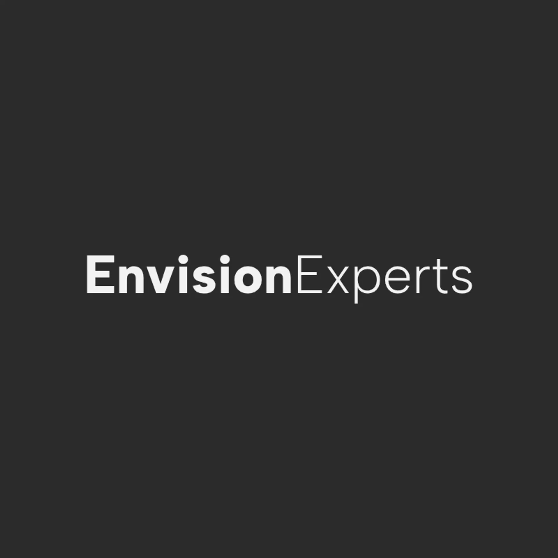 Envision Experts logo for business consulting