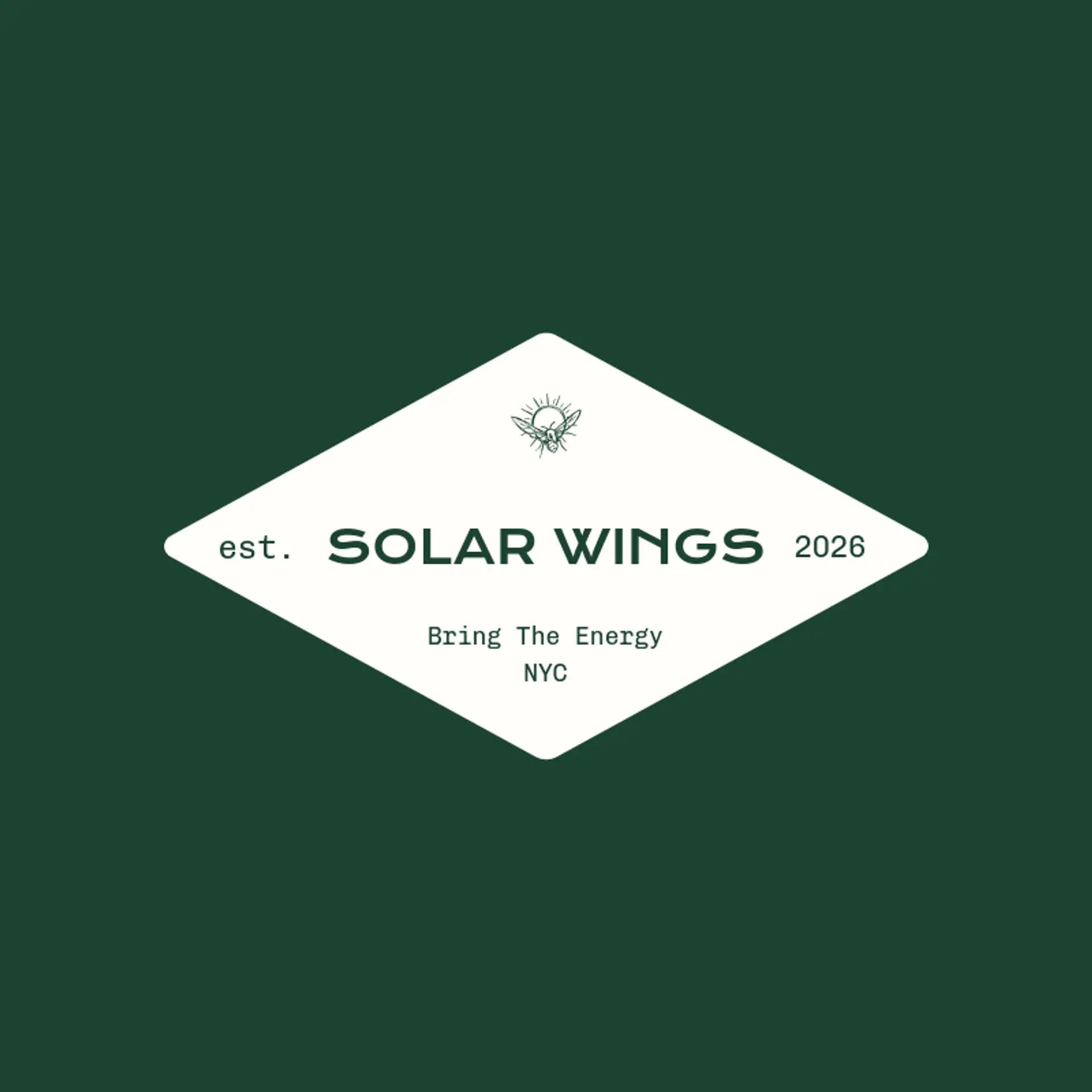 Solar Wings logo for hornet