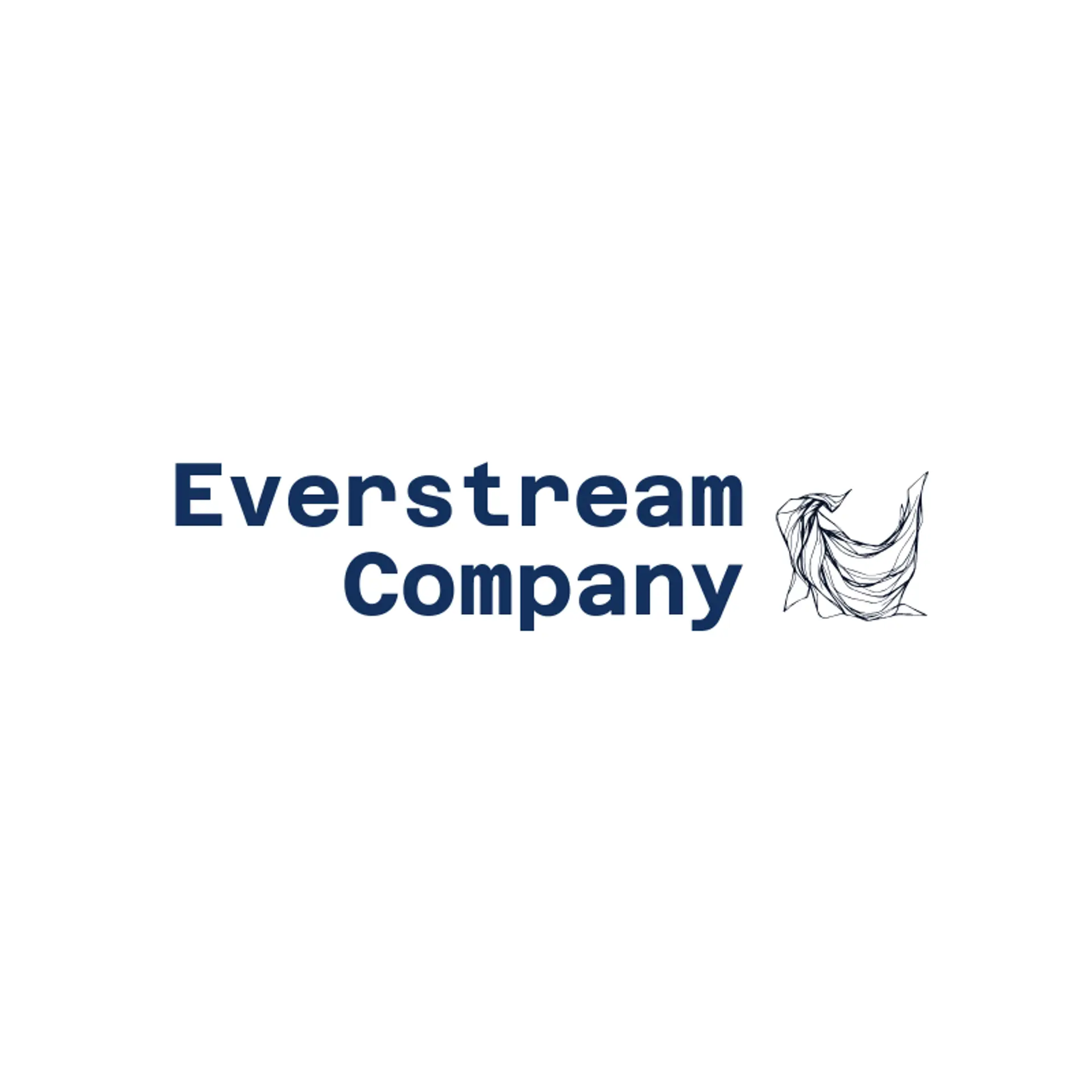 Everstream Company logo for flow