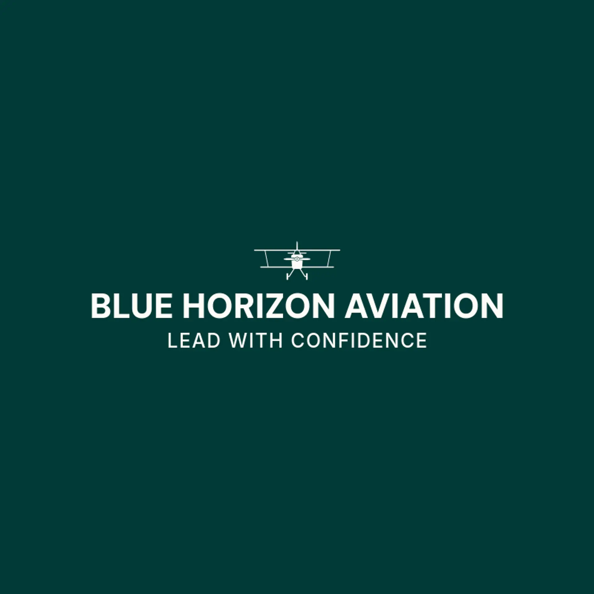 Blue Horizon Aviation logo for pilot