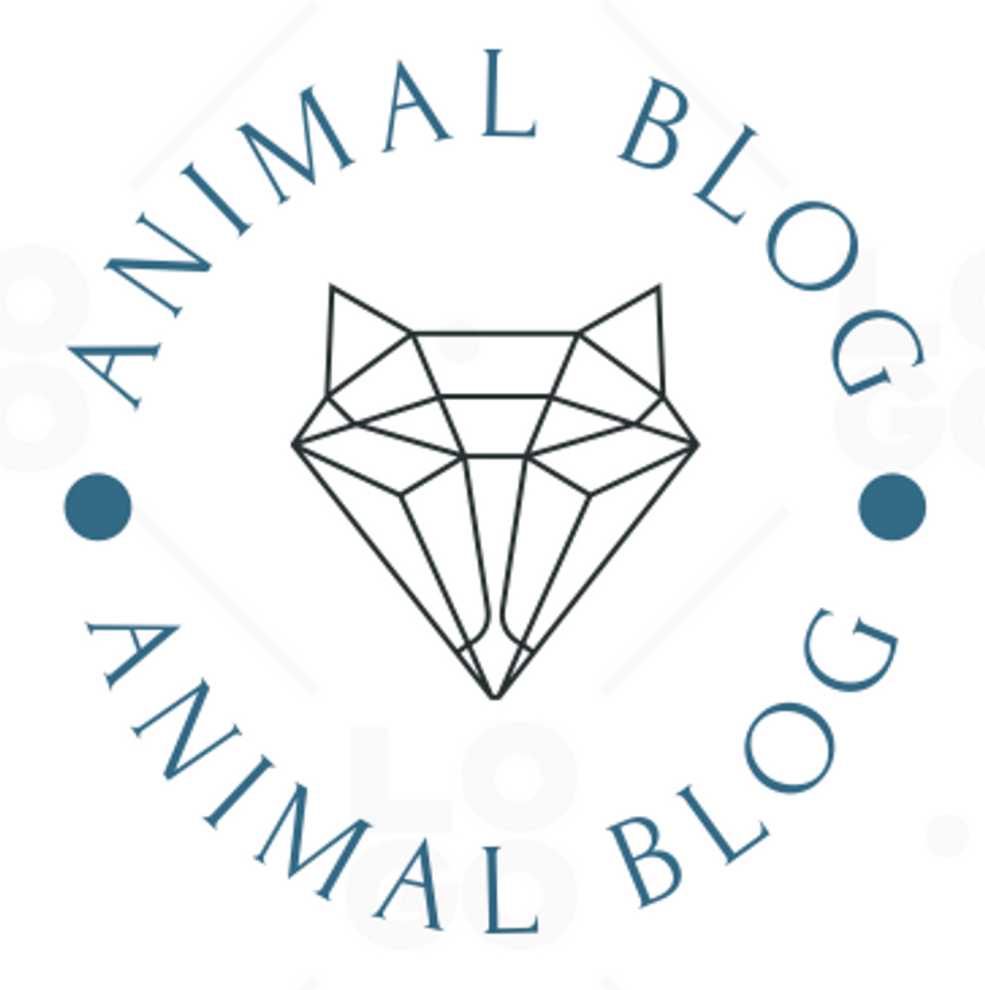 Animal Blog