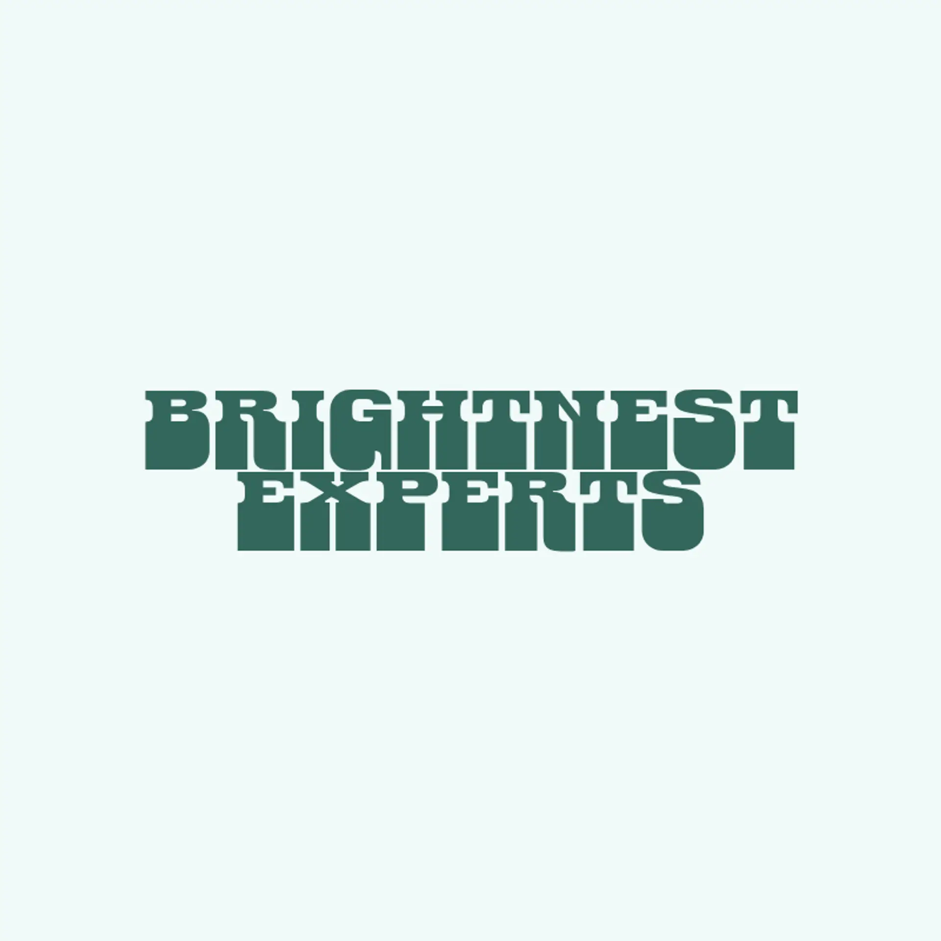 BrightNest Experts logo for cleaning company