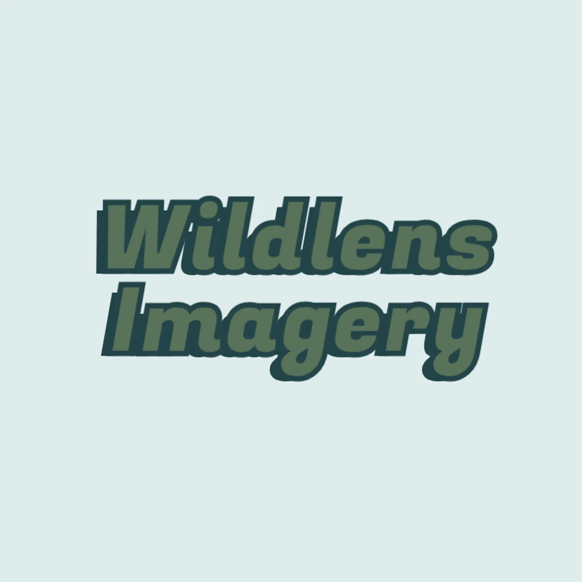Wild Frame Visions logo for wildlife photography