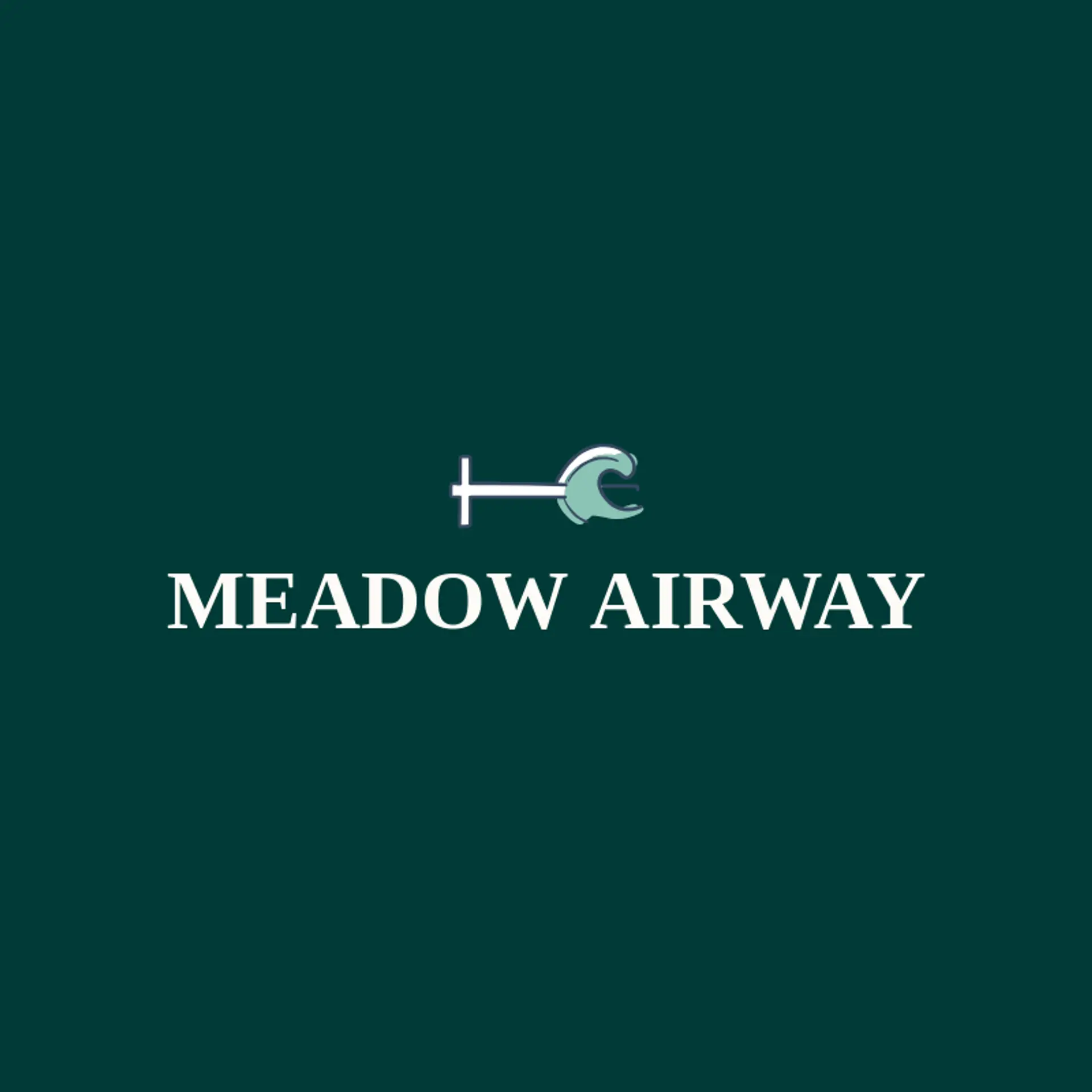 Meadow Airway logo for airport