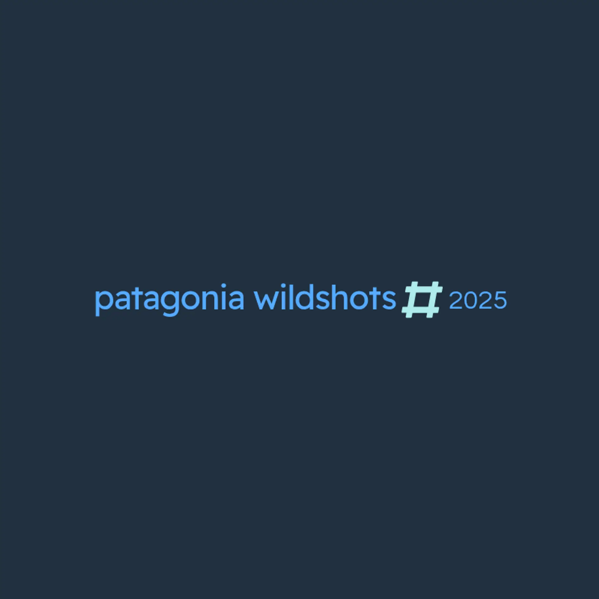 Wild Lens Studio logo for wildlife photography