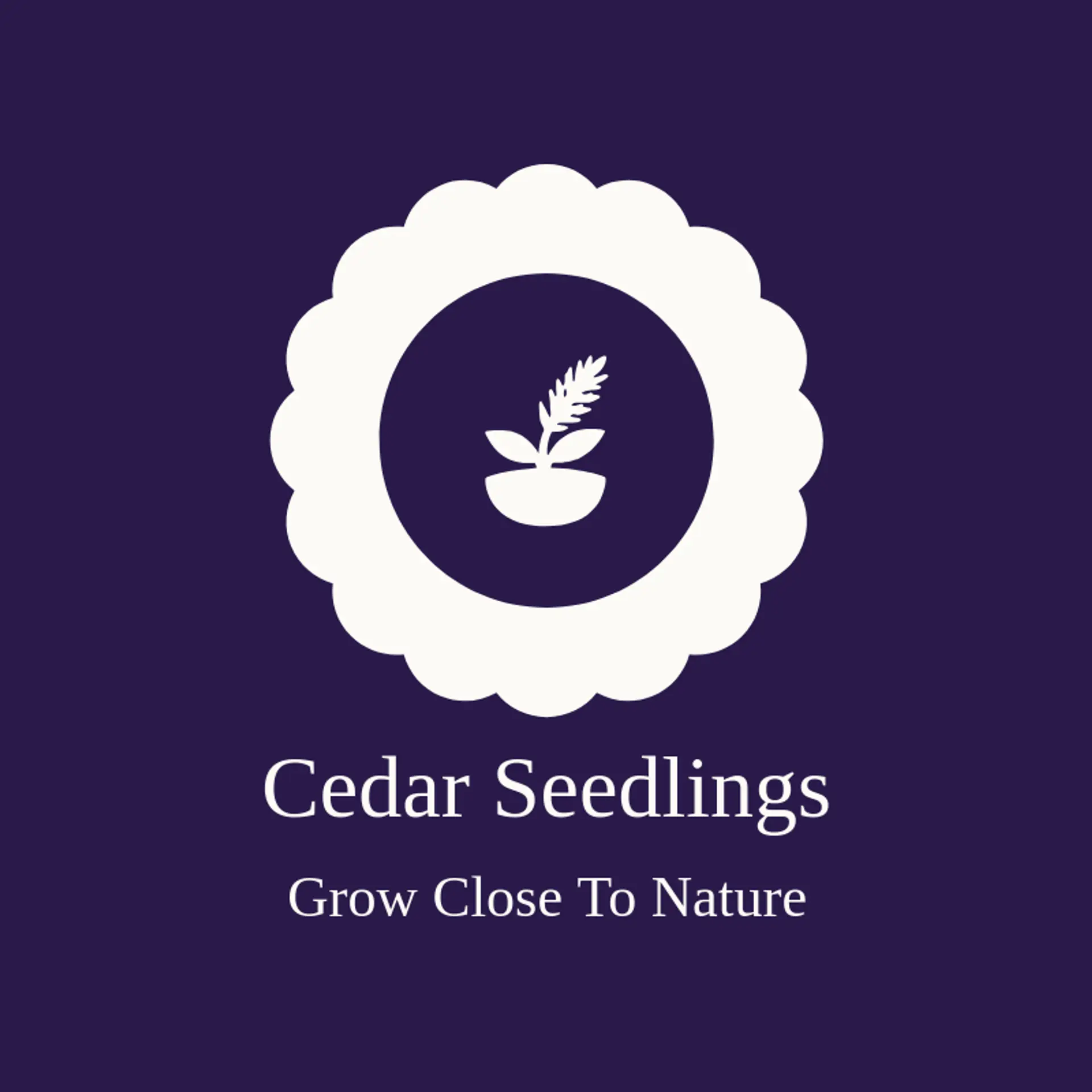 Cedar Seedlings logo for gardening